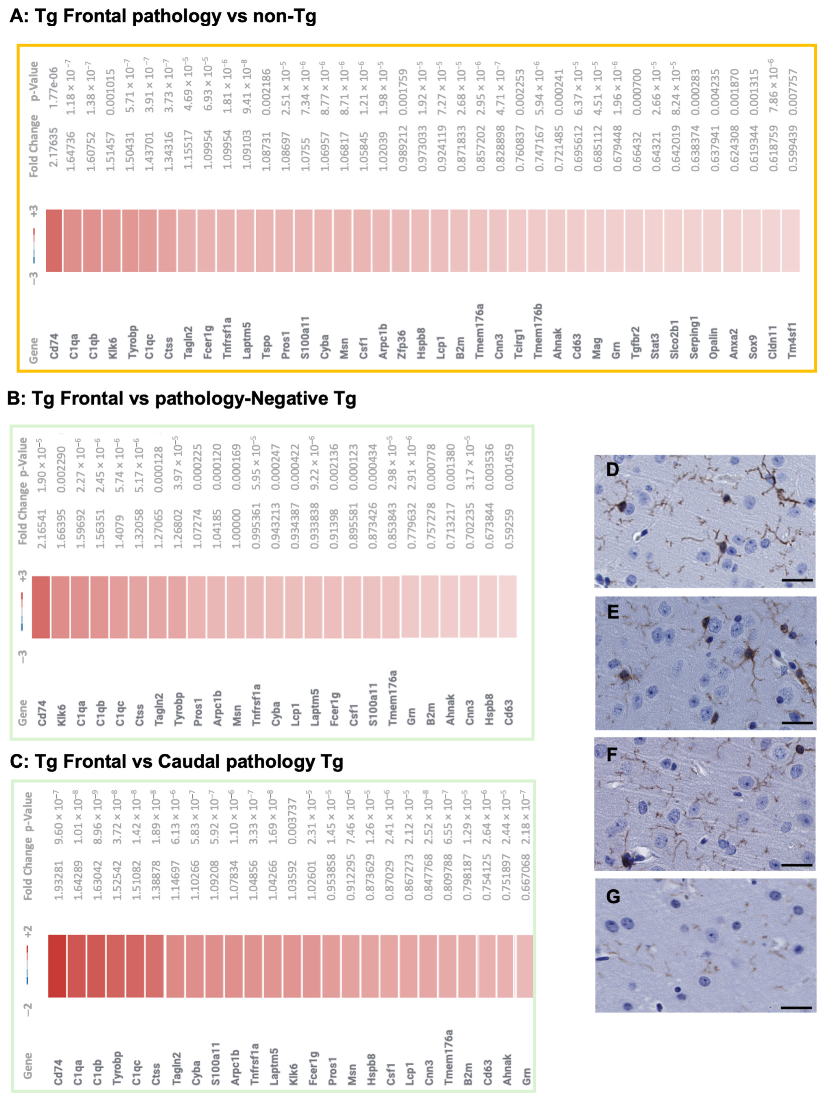 Biomolecules 15 00636 g002