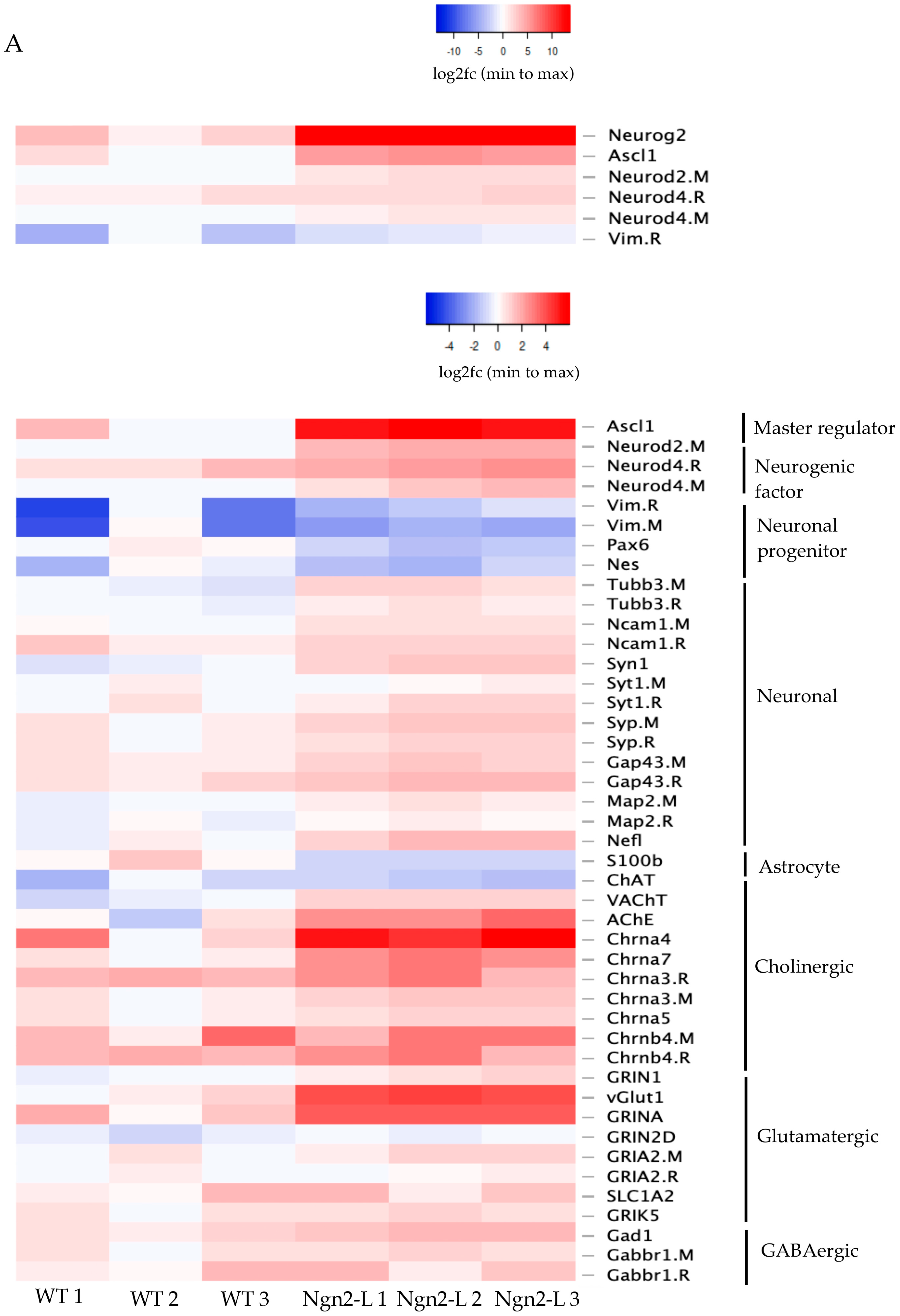 Biomolecules 15 00637 g004a