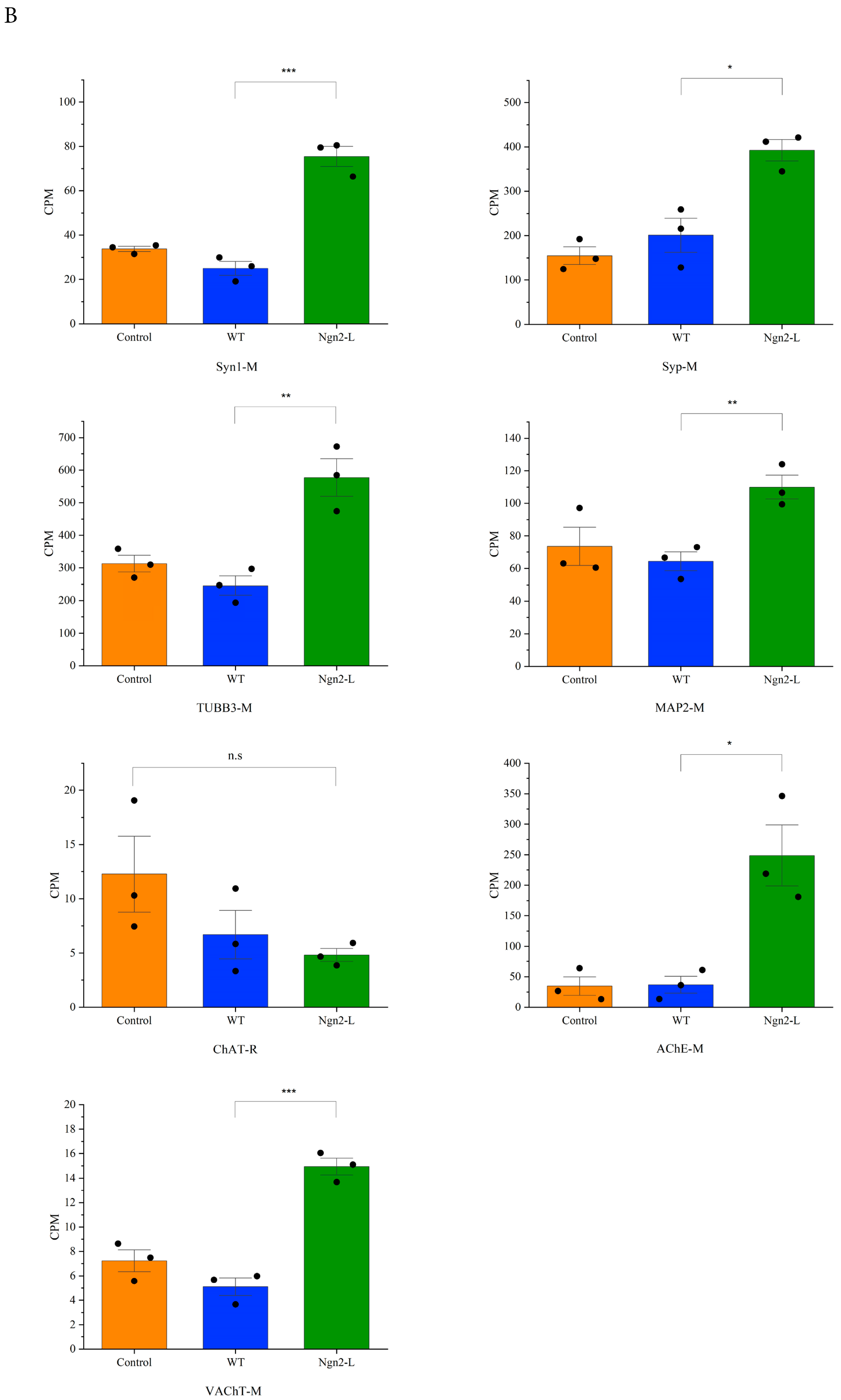 Biomolecules 15 00637 g004b