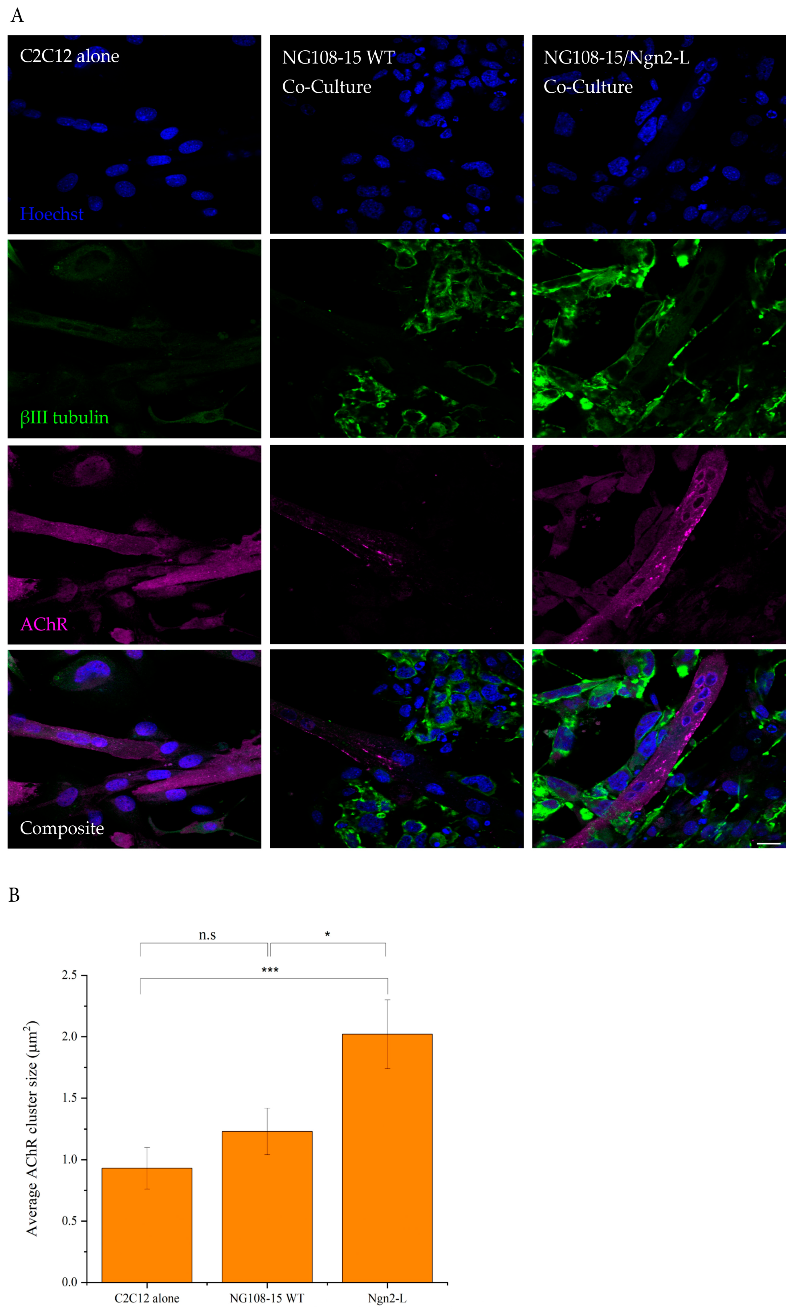Biomolecules 15 00637 g005