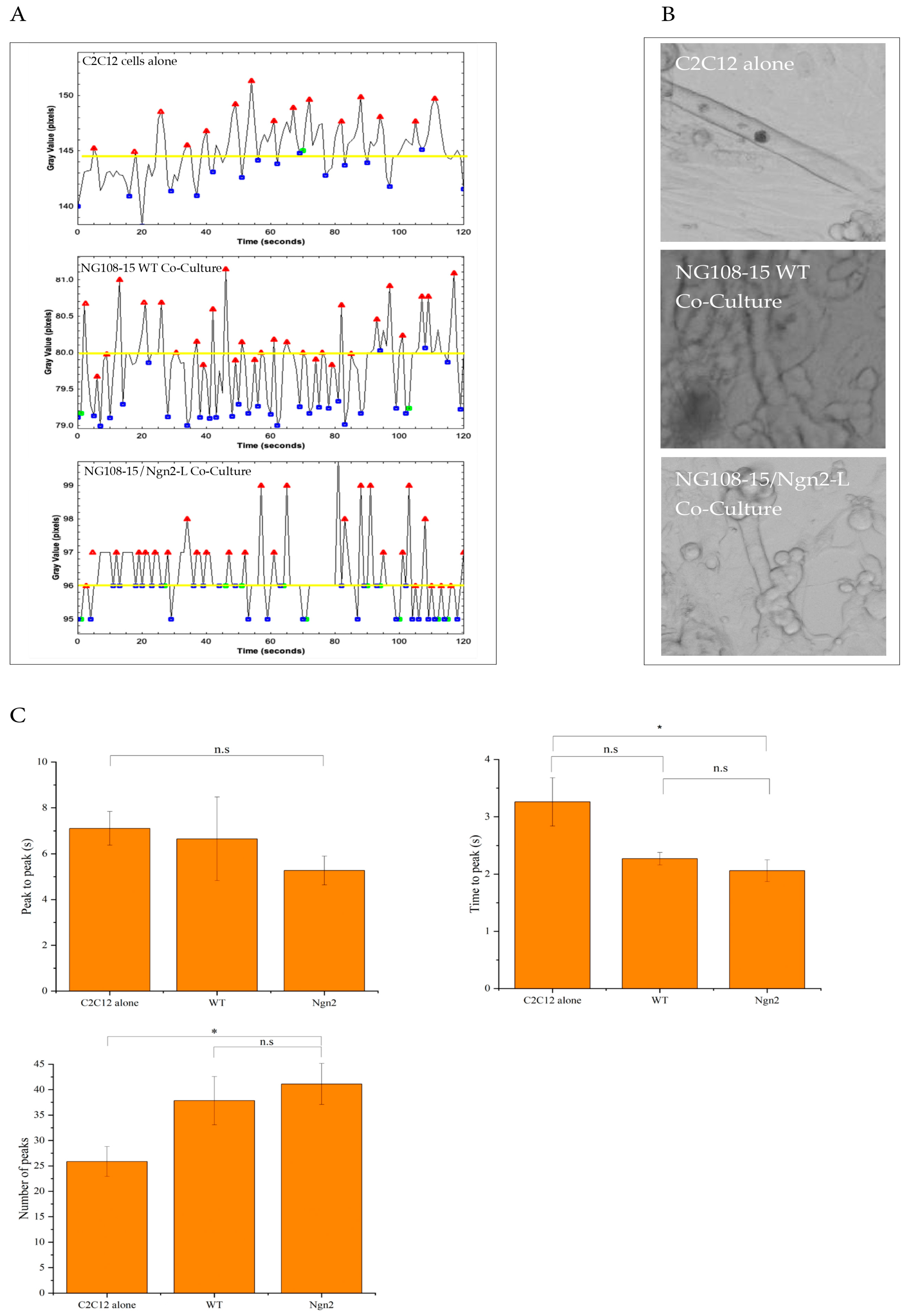 Biomolecules 15 00637 g006