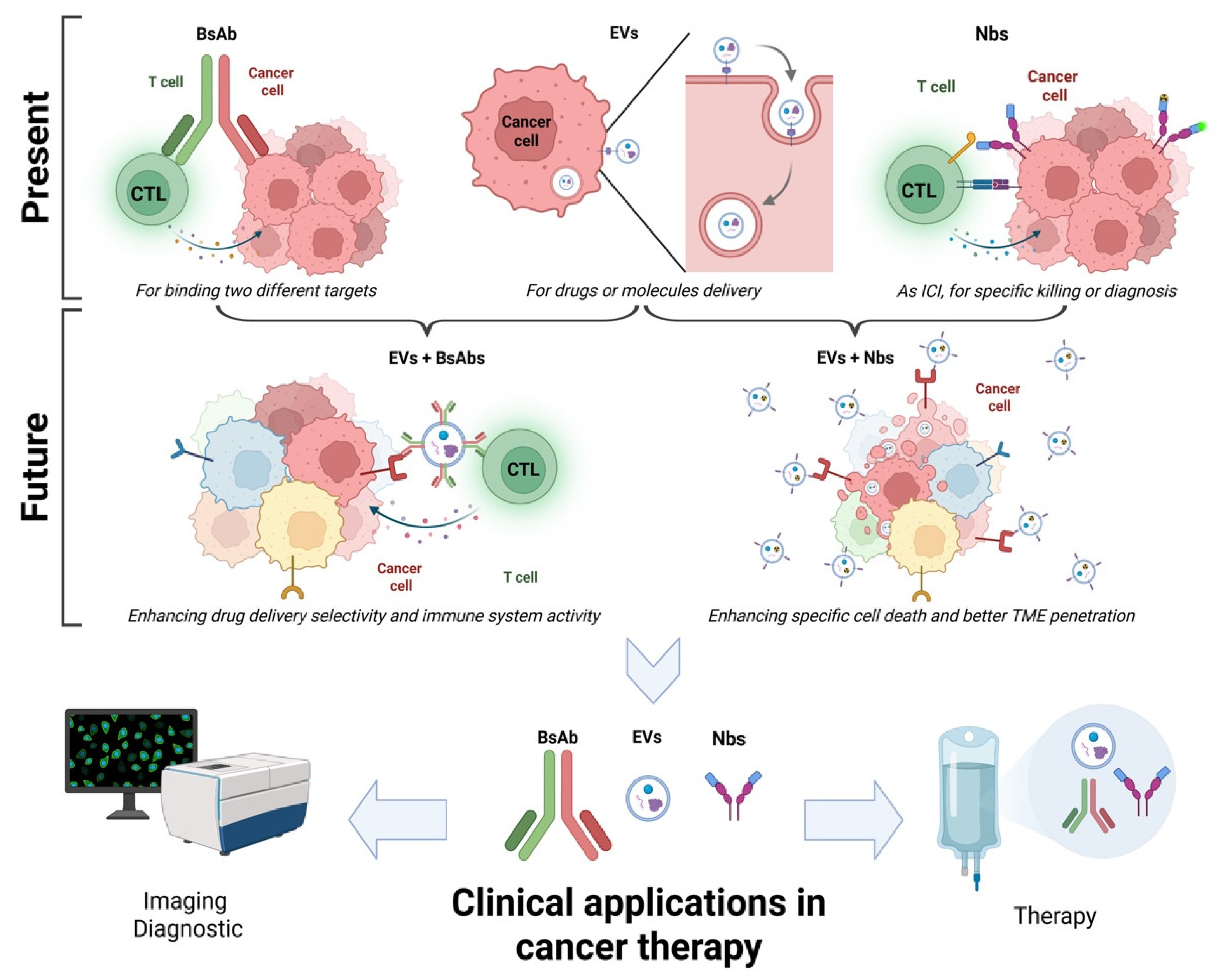 Biomolecules 15 00639 g001