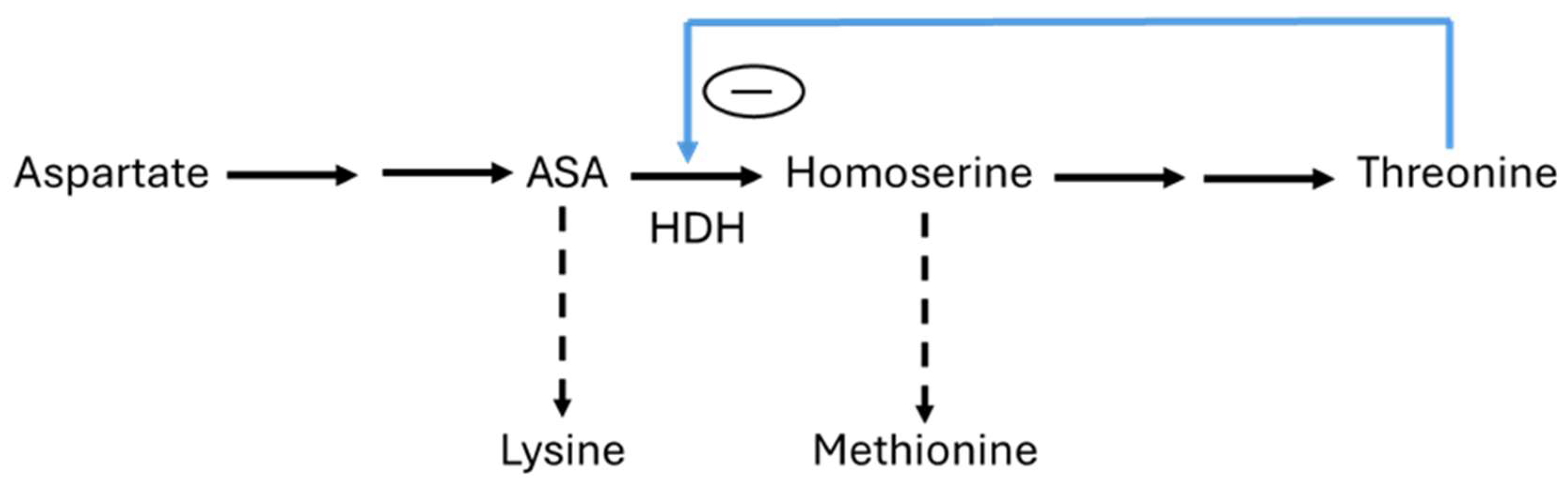 Biomolecules 15 00641 sch003