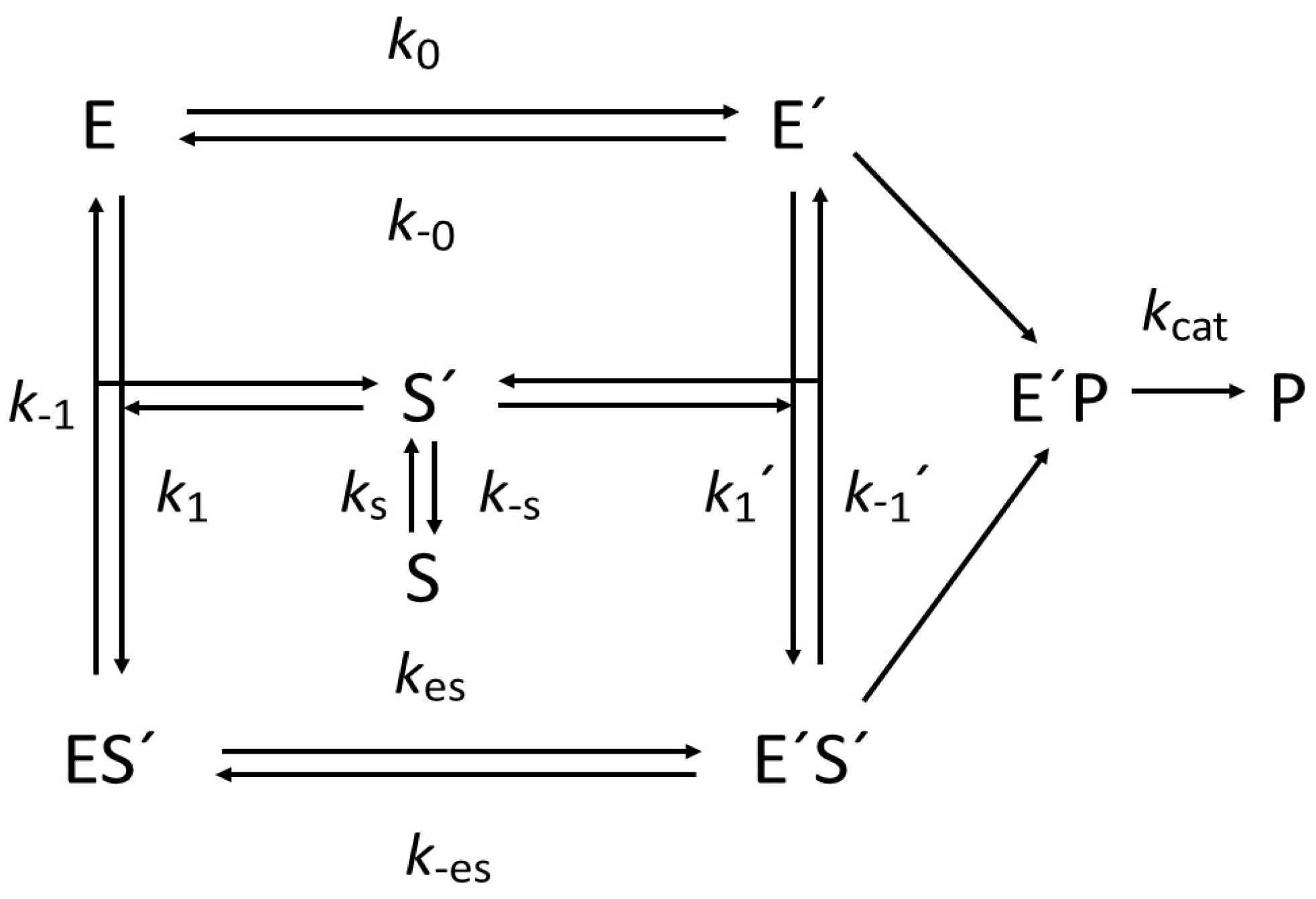 Biomolecules 15 00641 sch004