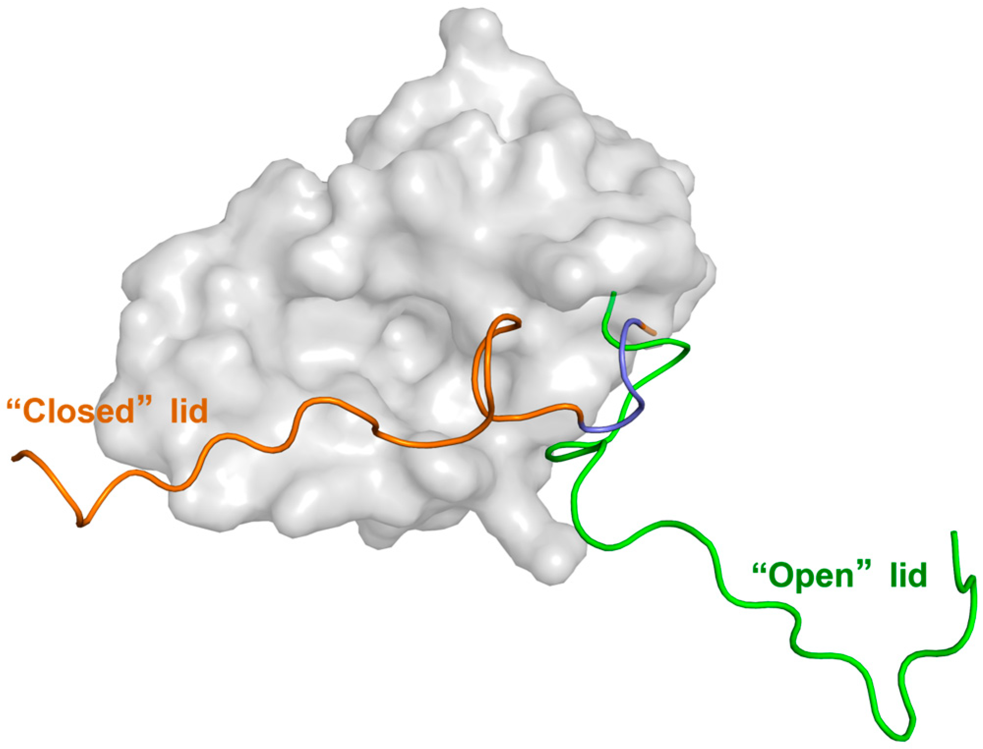 Biomolecules 15 00642 g002