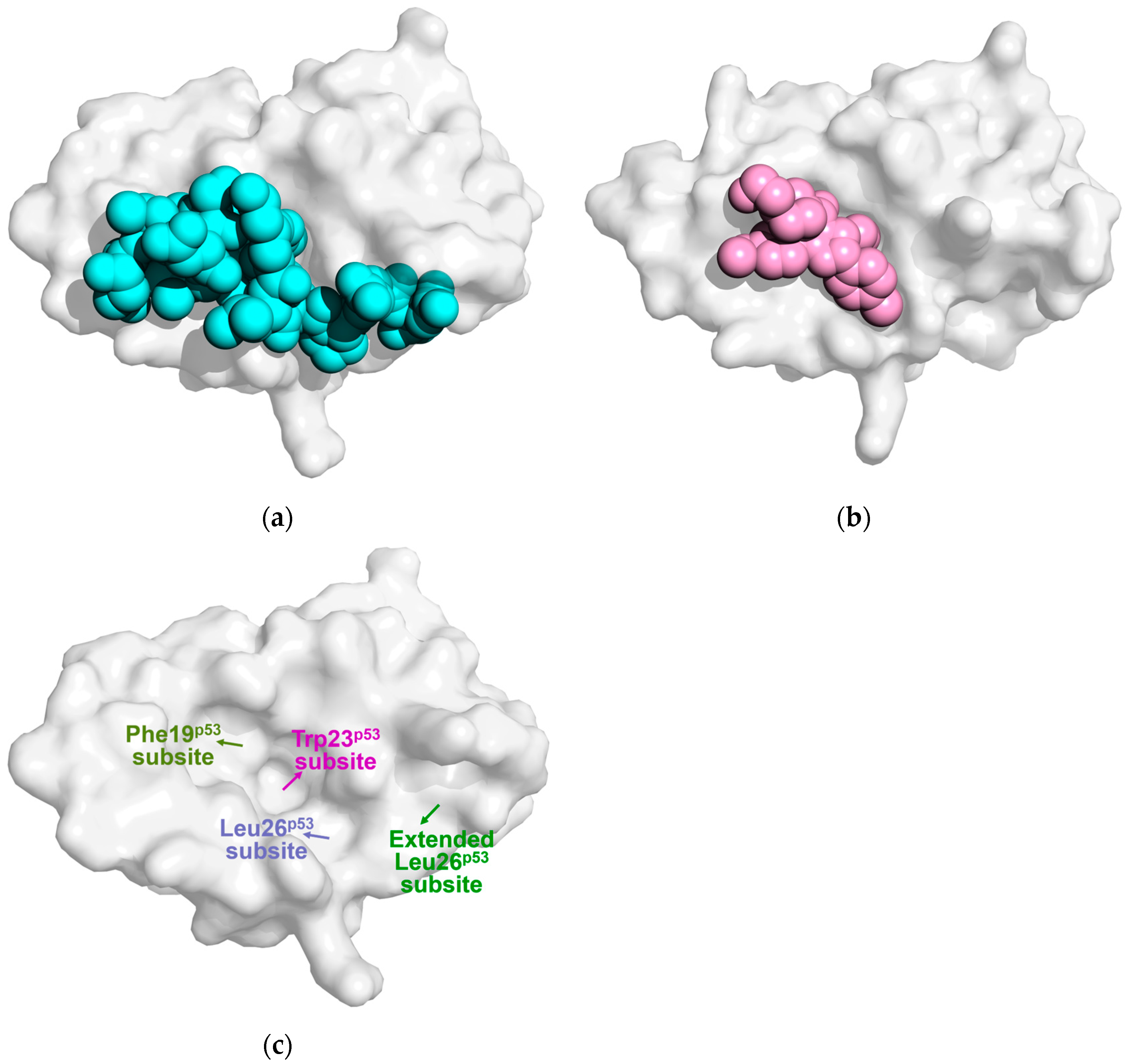 Biomolecules 15 00642 g004