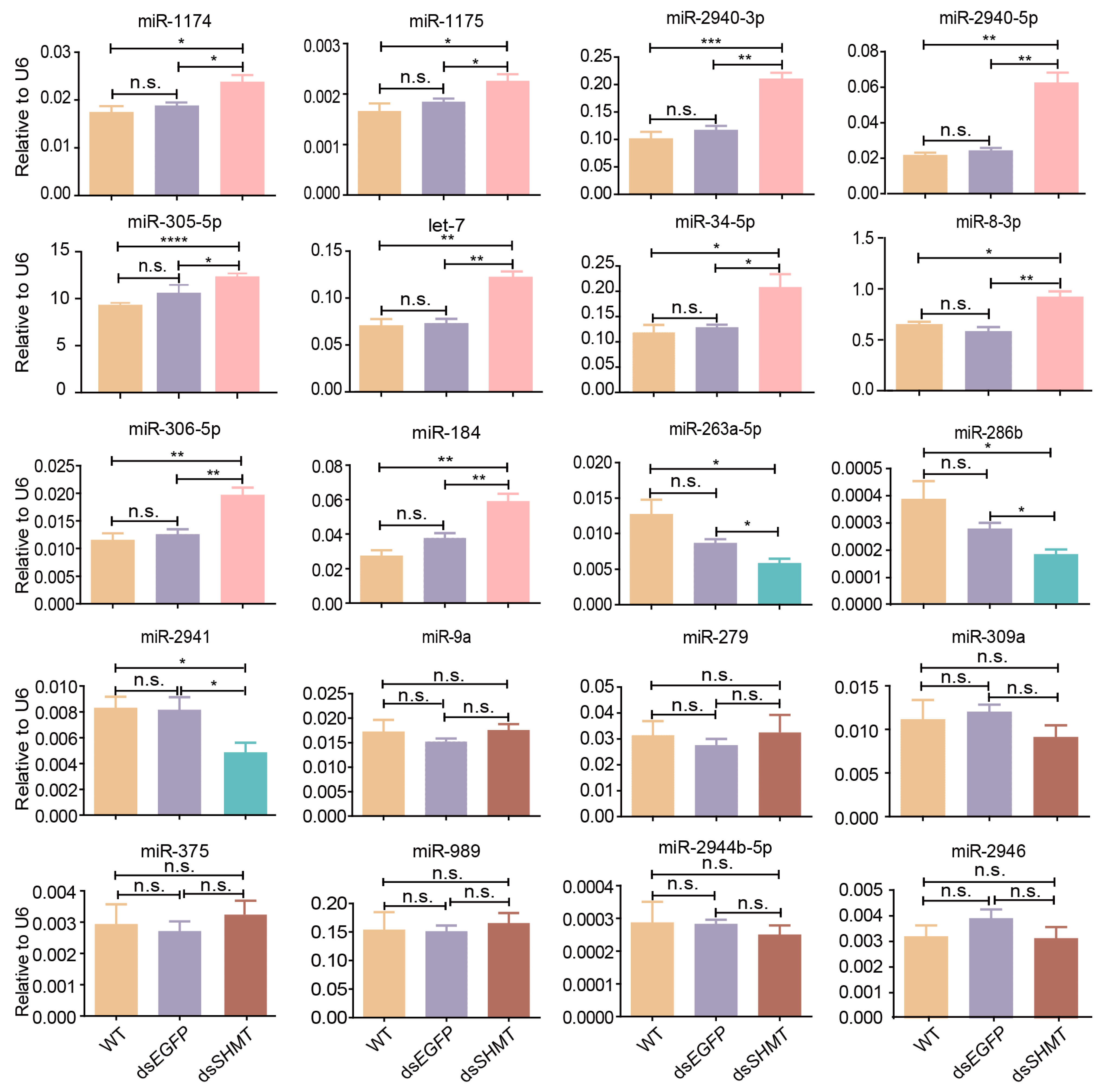 Biomolecules 15 00644 g004