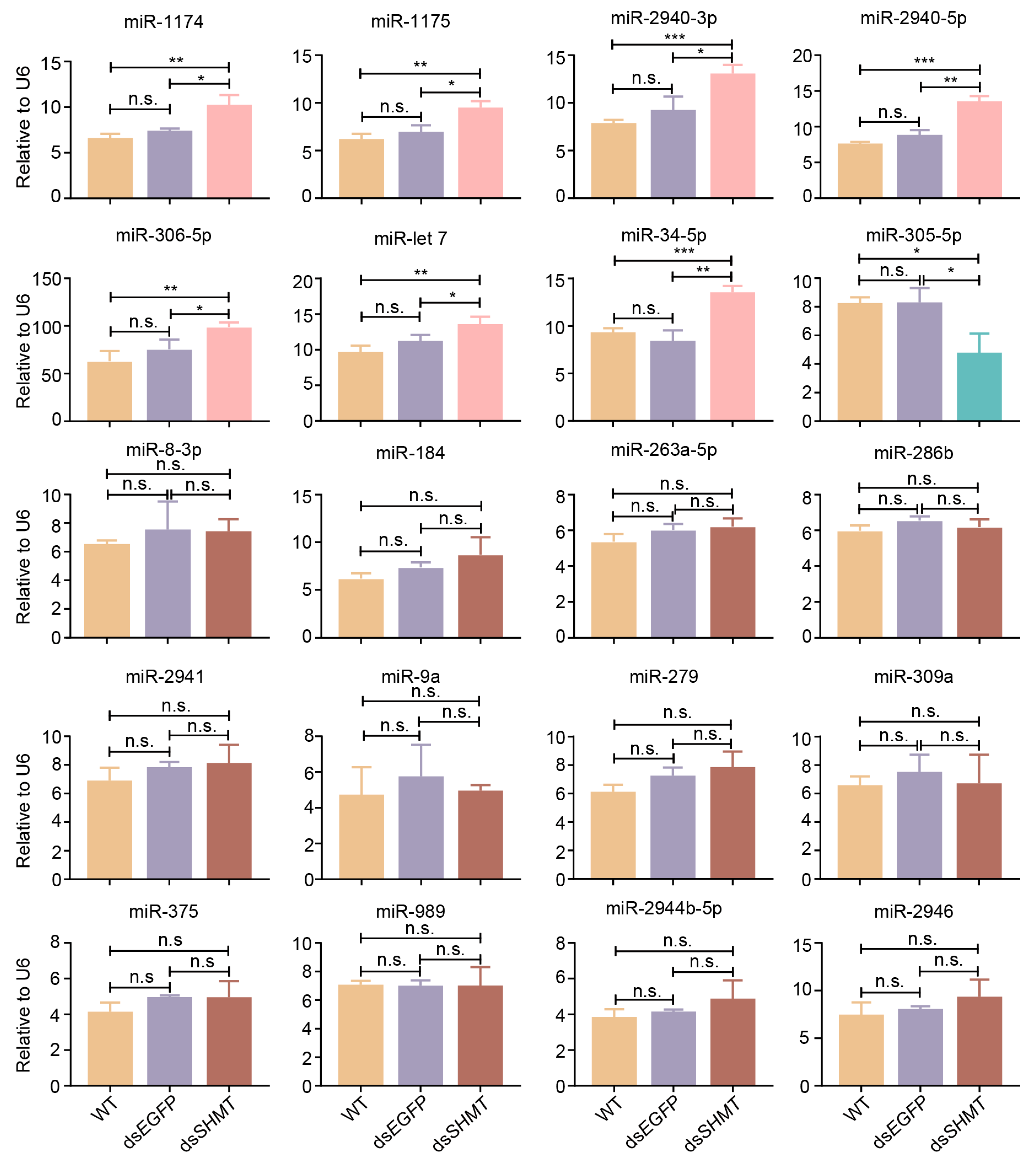 Biomolecules 15 00644 g005