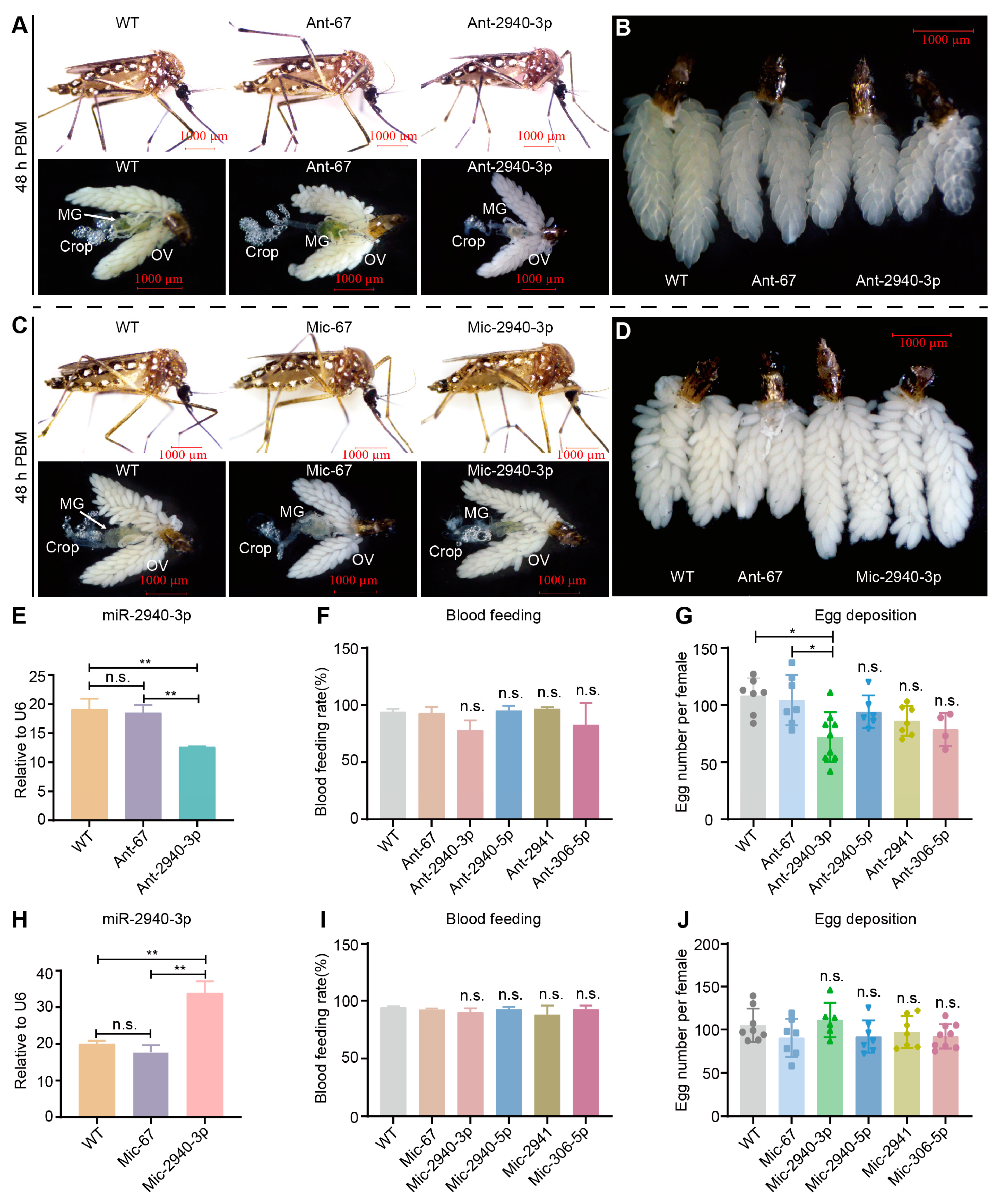Biomolecules 15 00644 g006