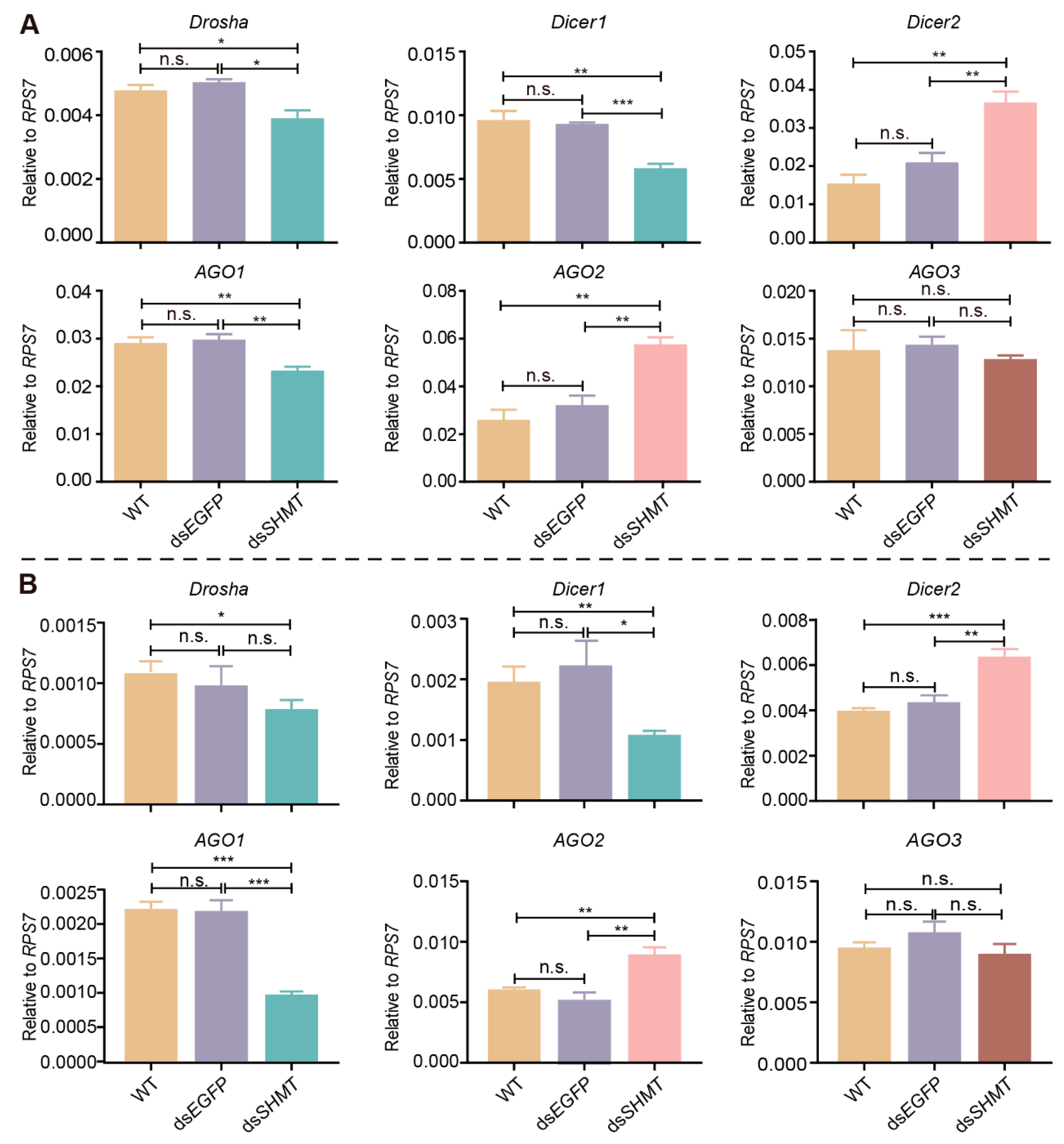 Biomolecules 15 00644 g007
