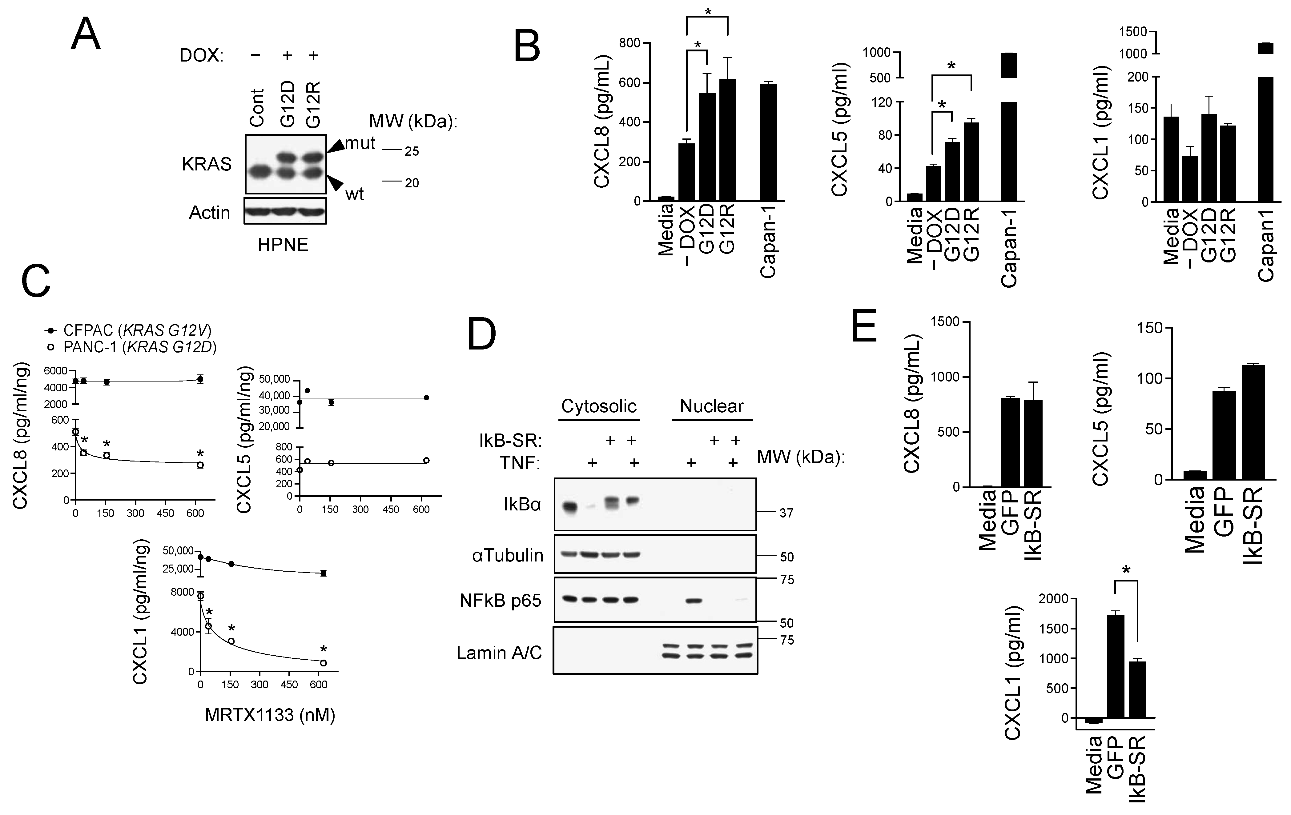 Biomolecules 15 00645 g002