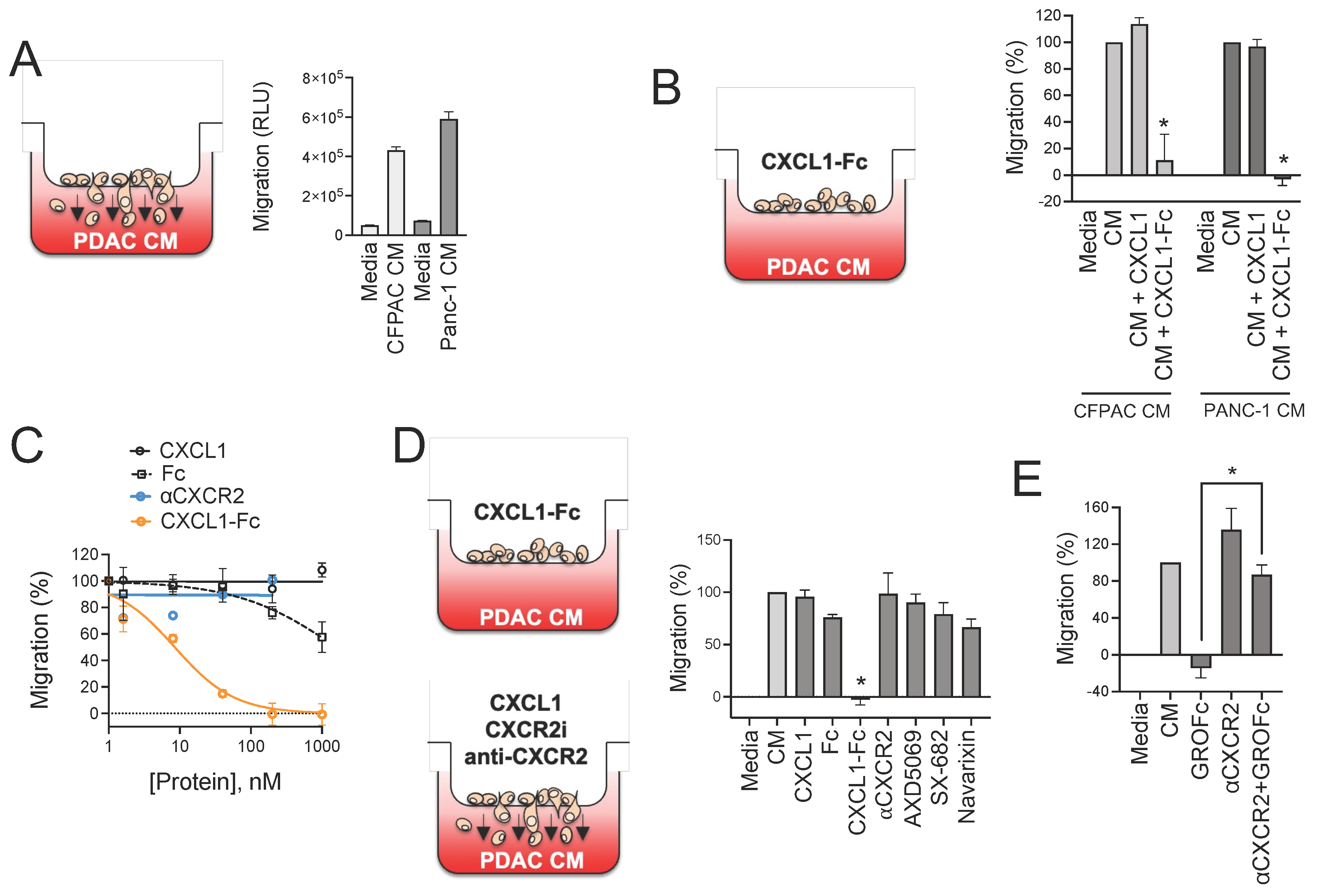 Biomolecules 15 00645 g005