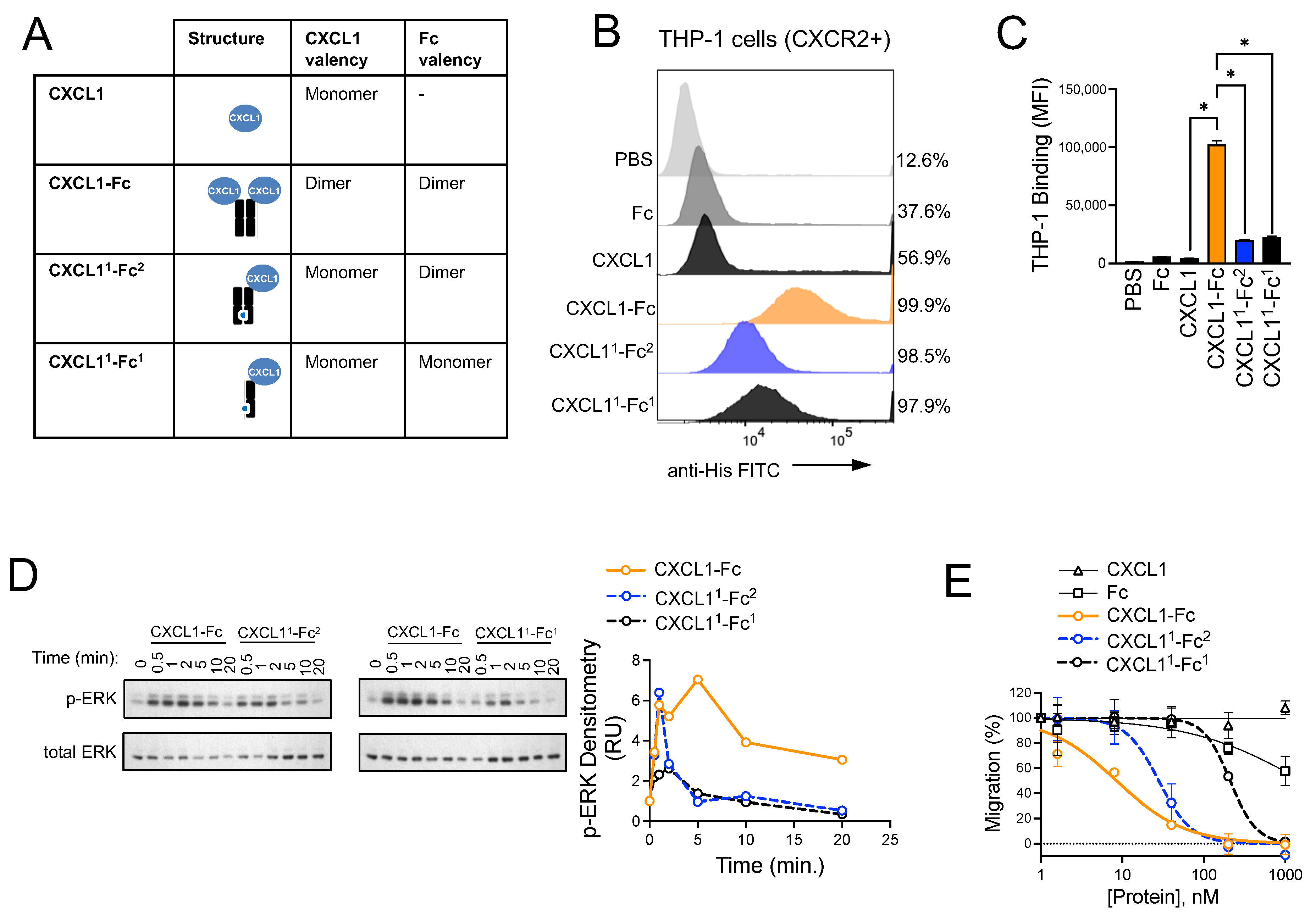 Biomolecules 15 00645 g006