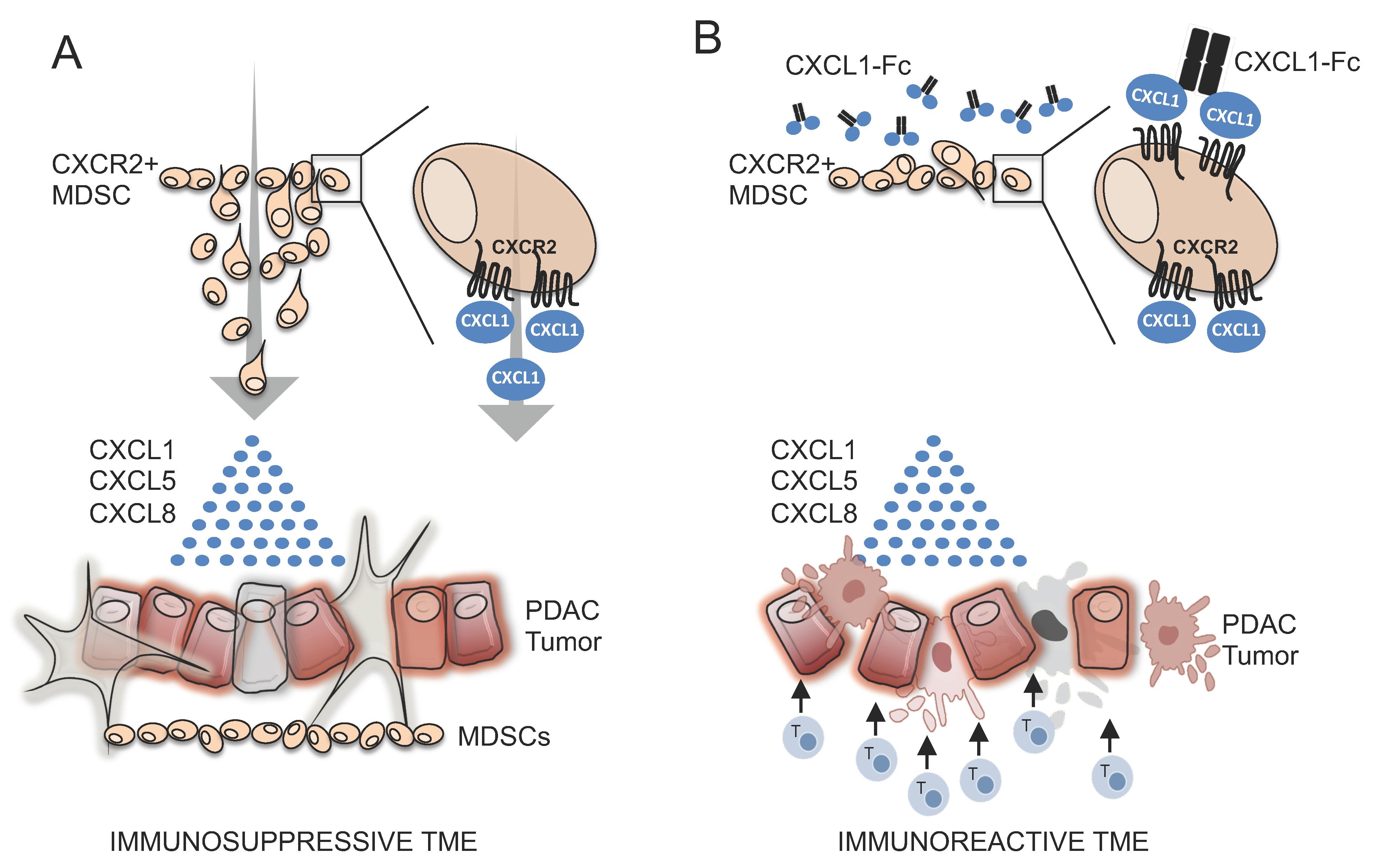 Biomolecules 15 00645 g007