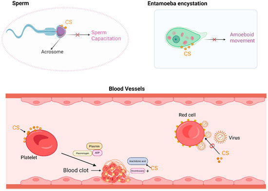 1,25-dihydroxyvitamin D3 induces stable and reproducible