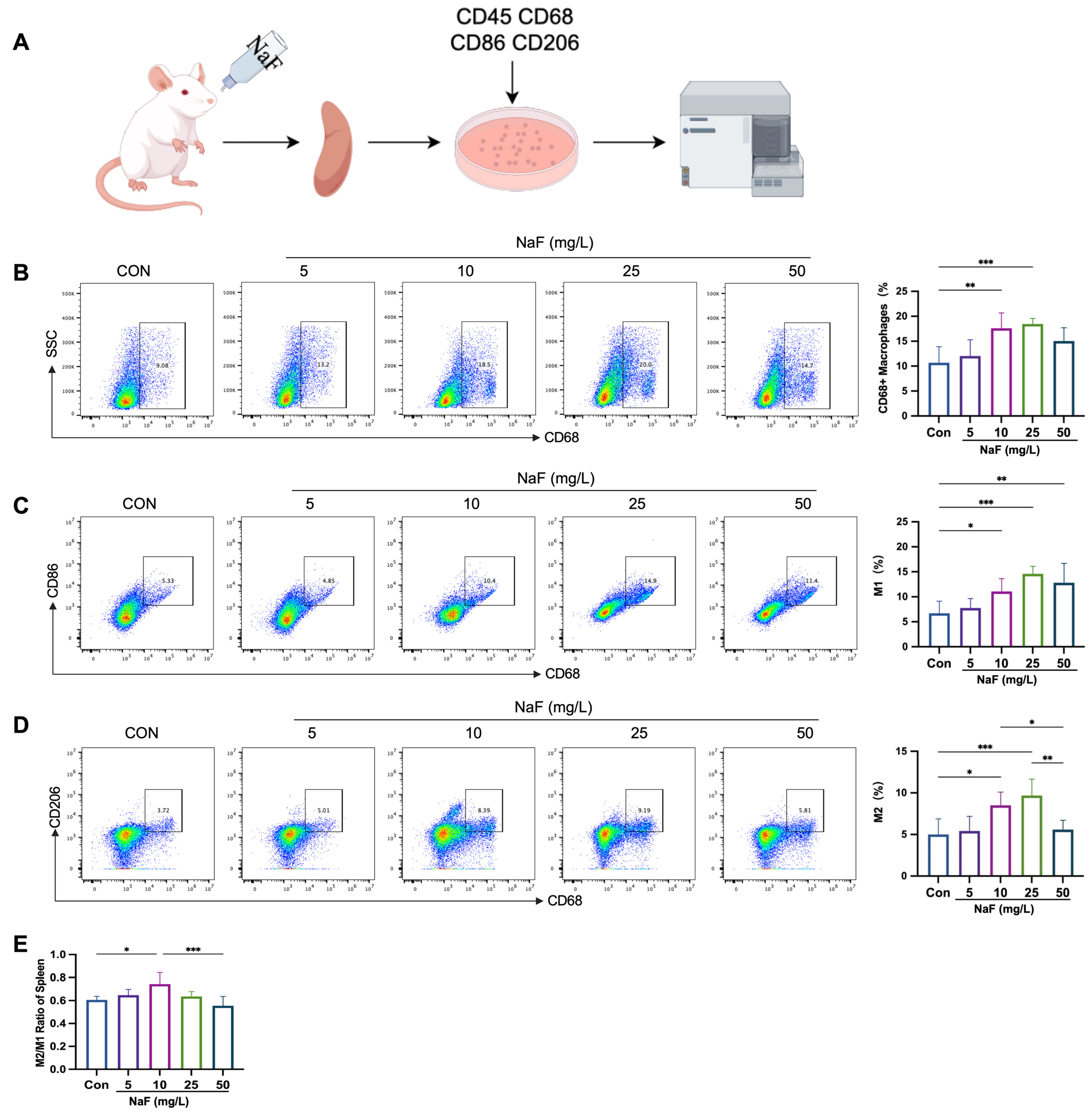 Biomolecules 15 00647 g003