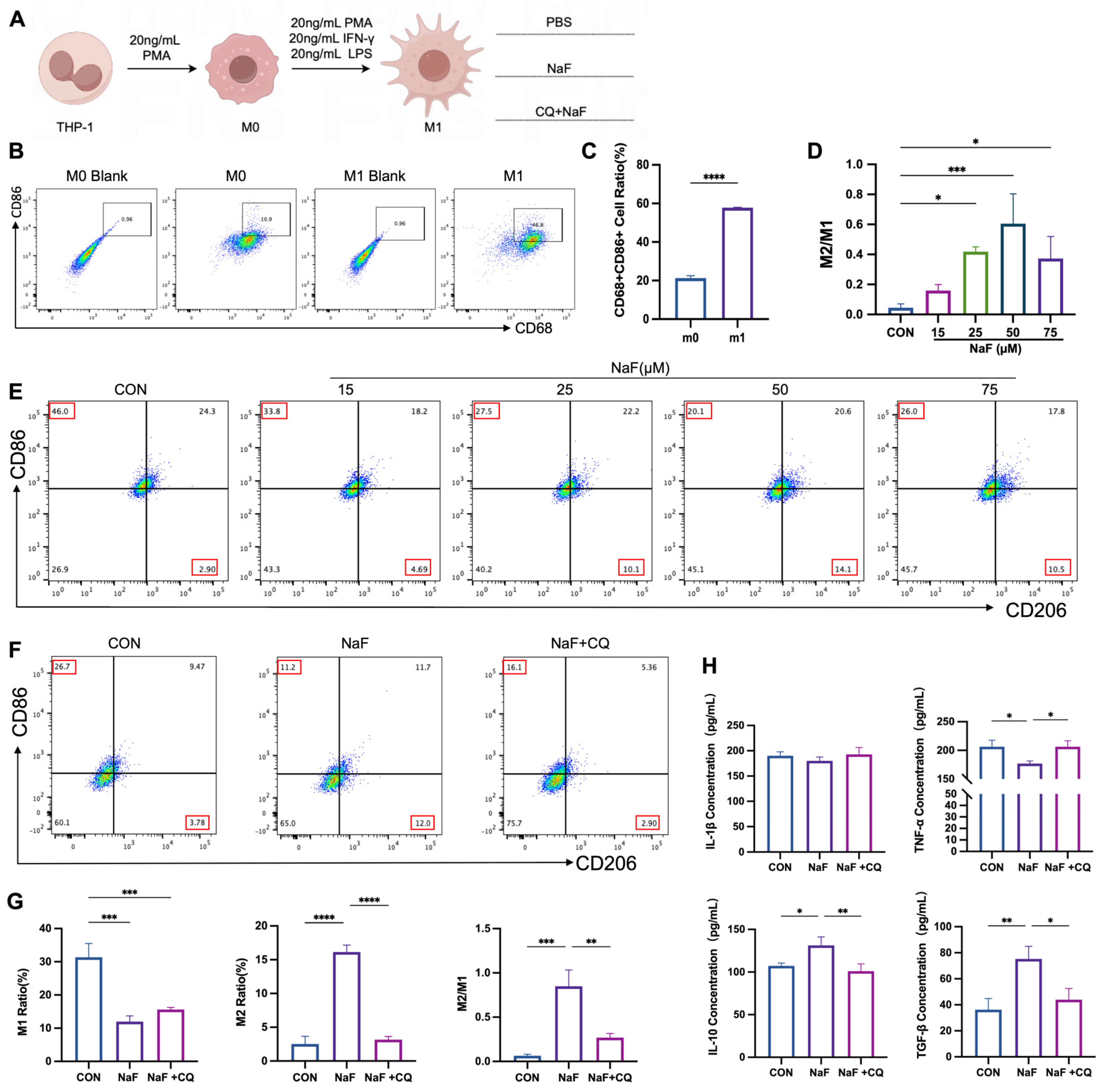Biomolecules 15 00647 g005