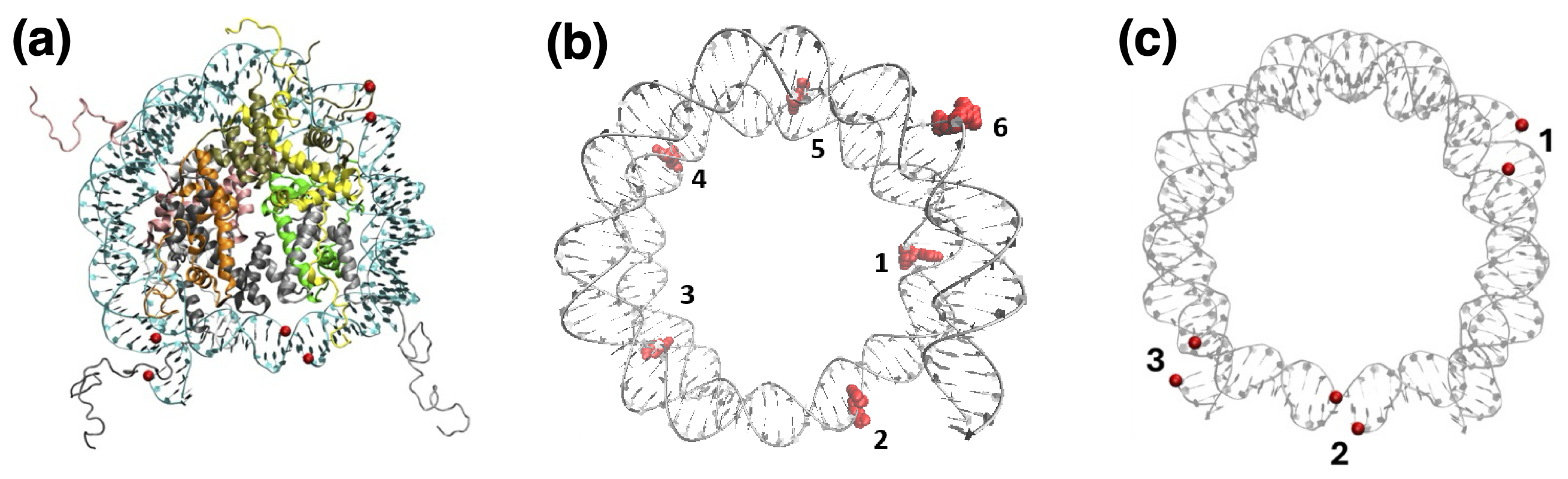 Biomolecules 15 00649 g002