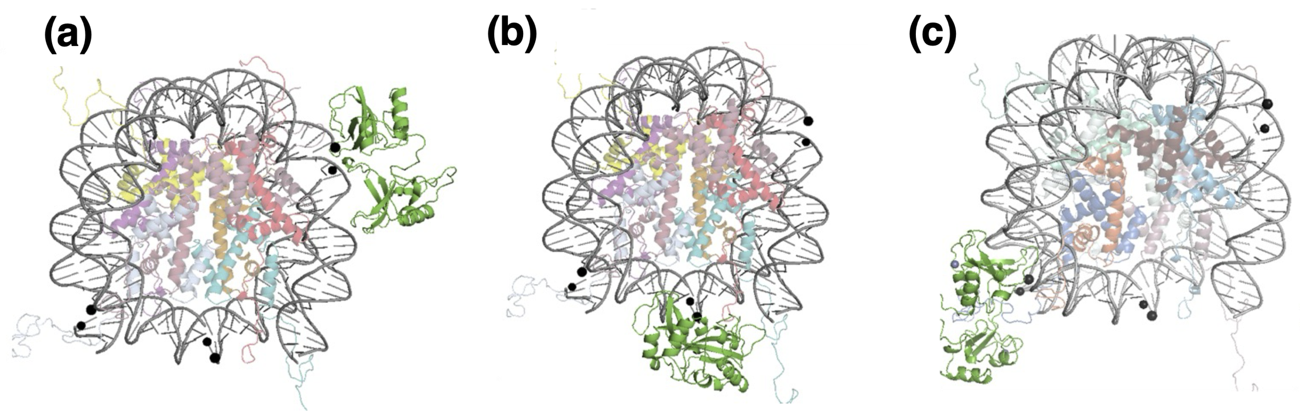 Biomolecules 15 00649 g005
