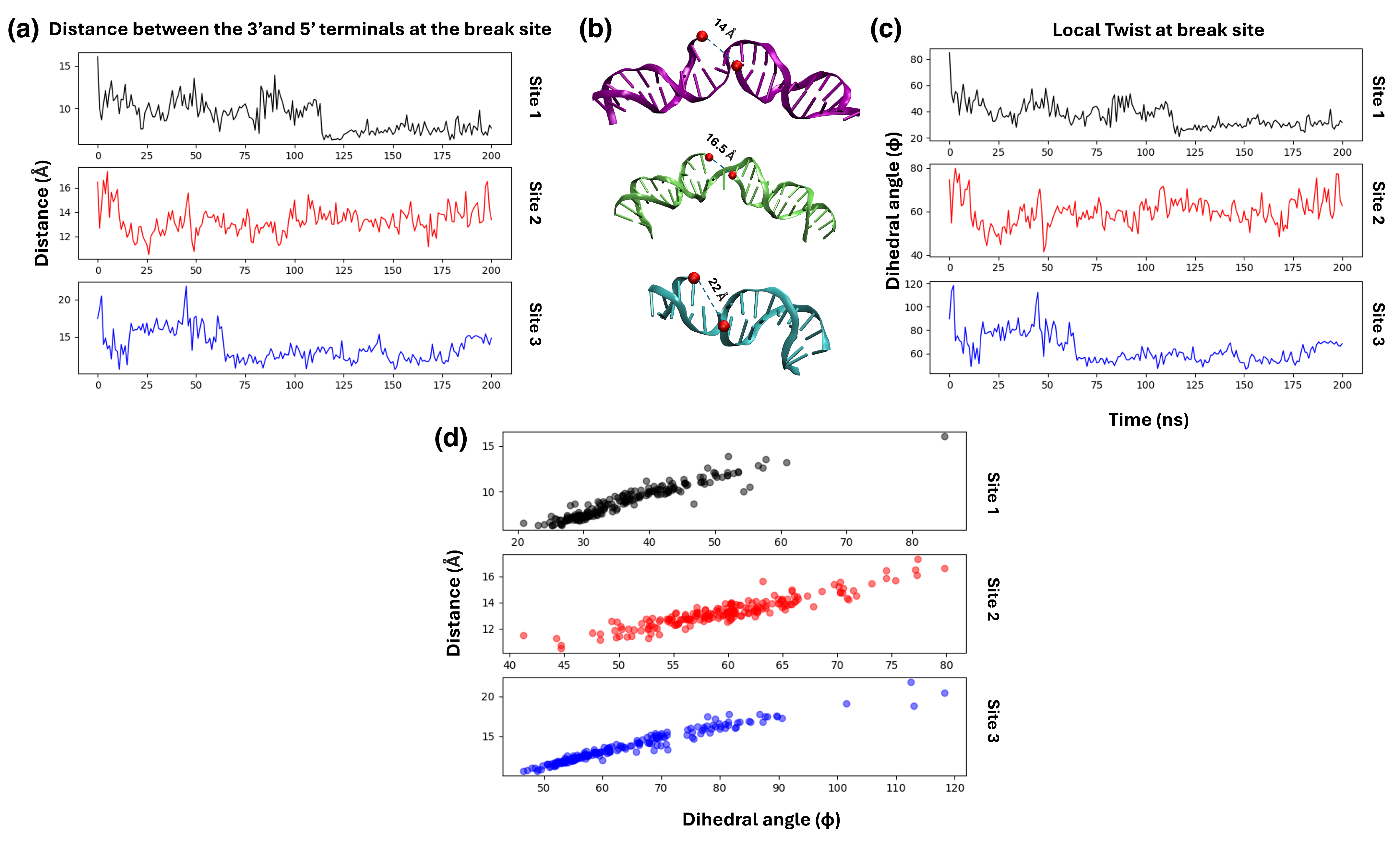 Biomolecules 15 00649 g006