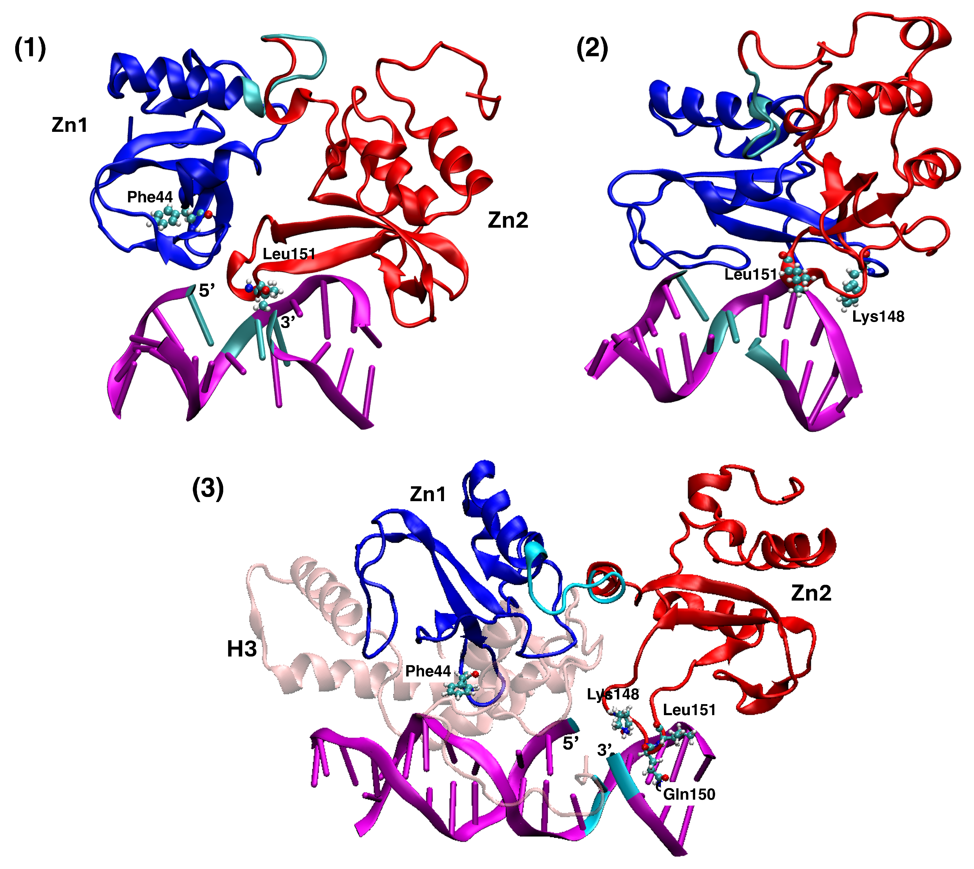 Biomolecules 15 00649 g007