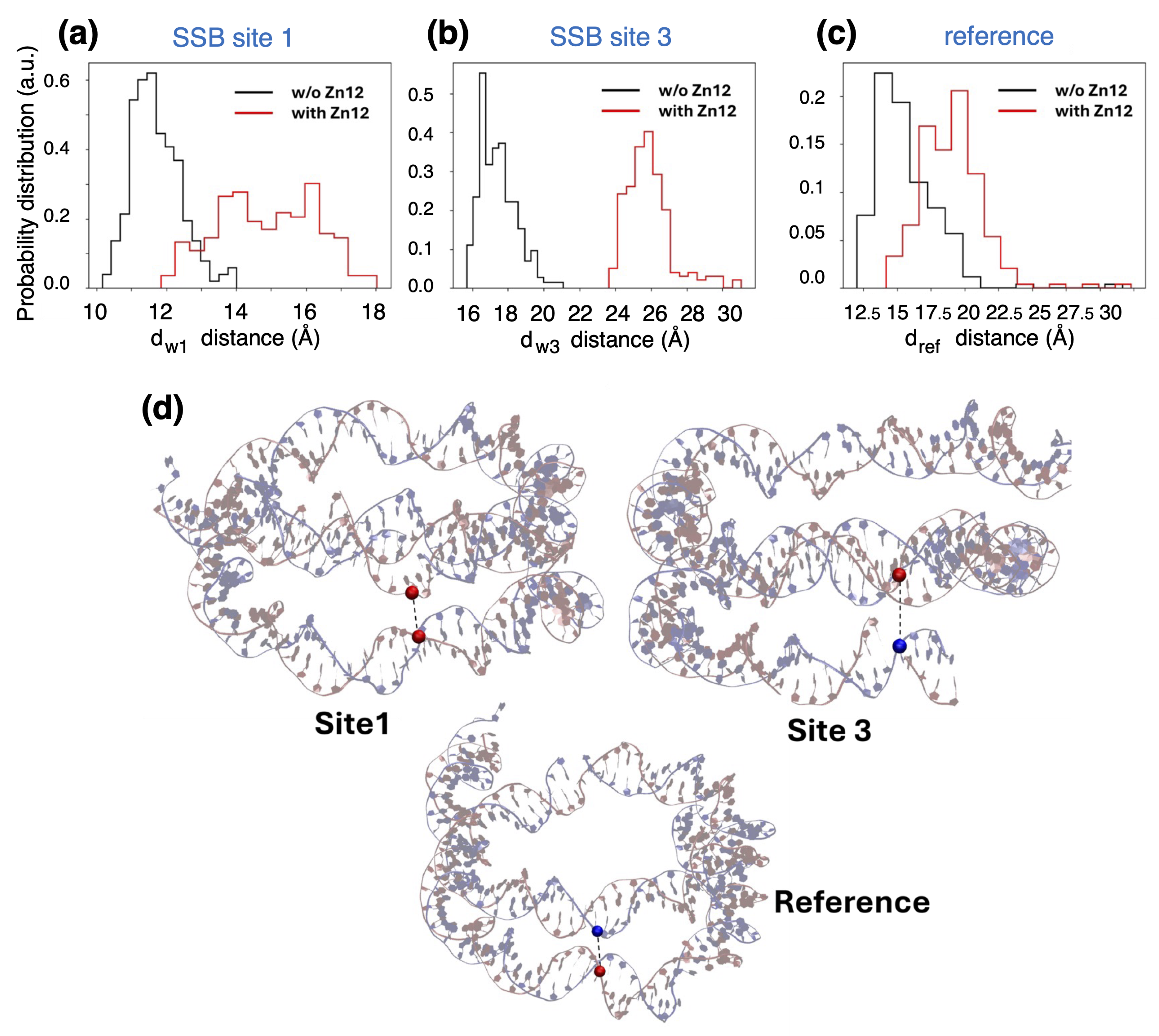 Biomolecules 15 00649 g009