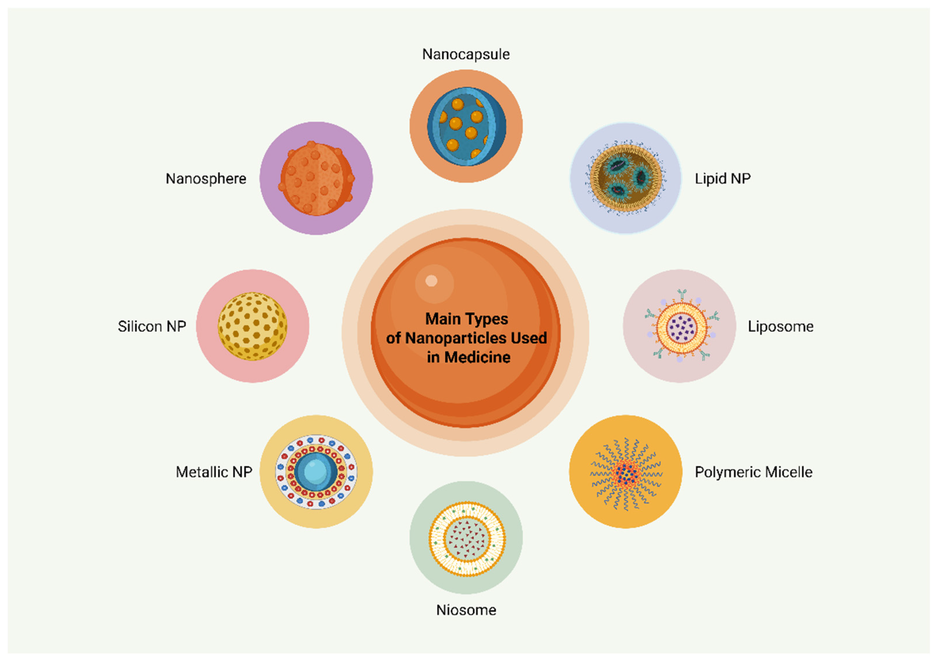 Biomolecules 15 00653 g001