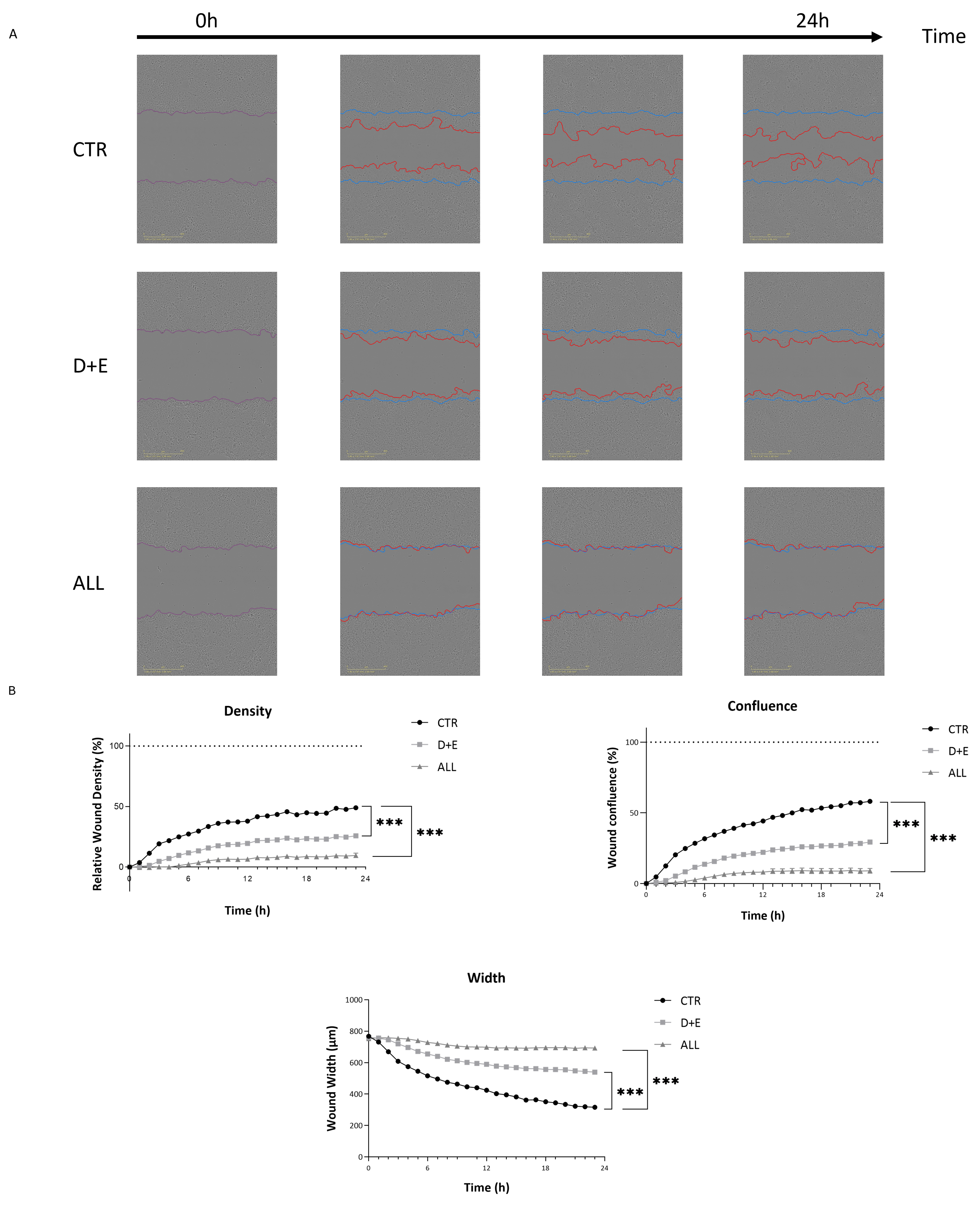 Biomolecules 15 00657 g003a