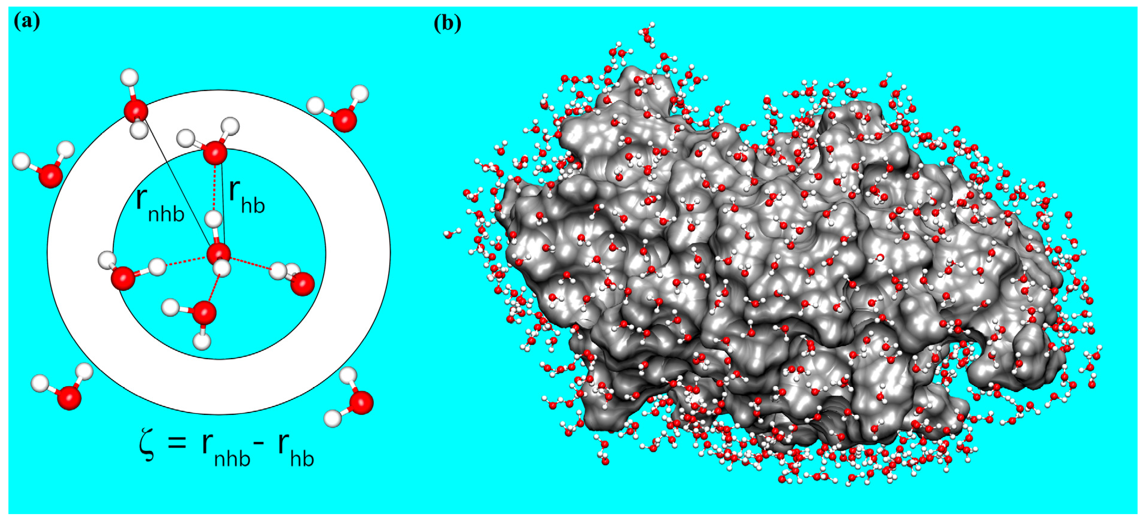 Biomolecules 15 00660 g001