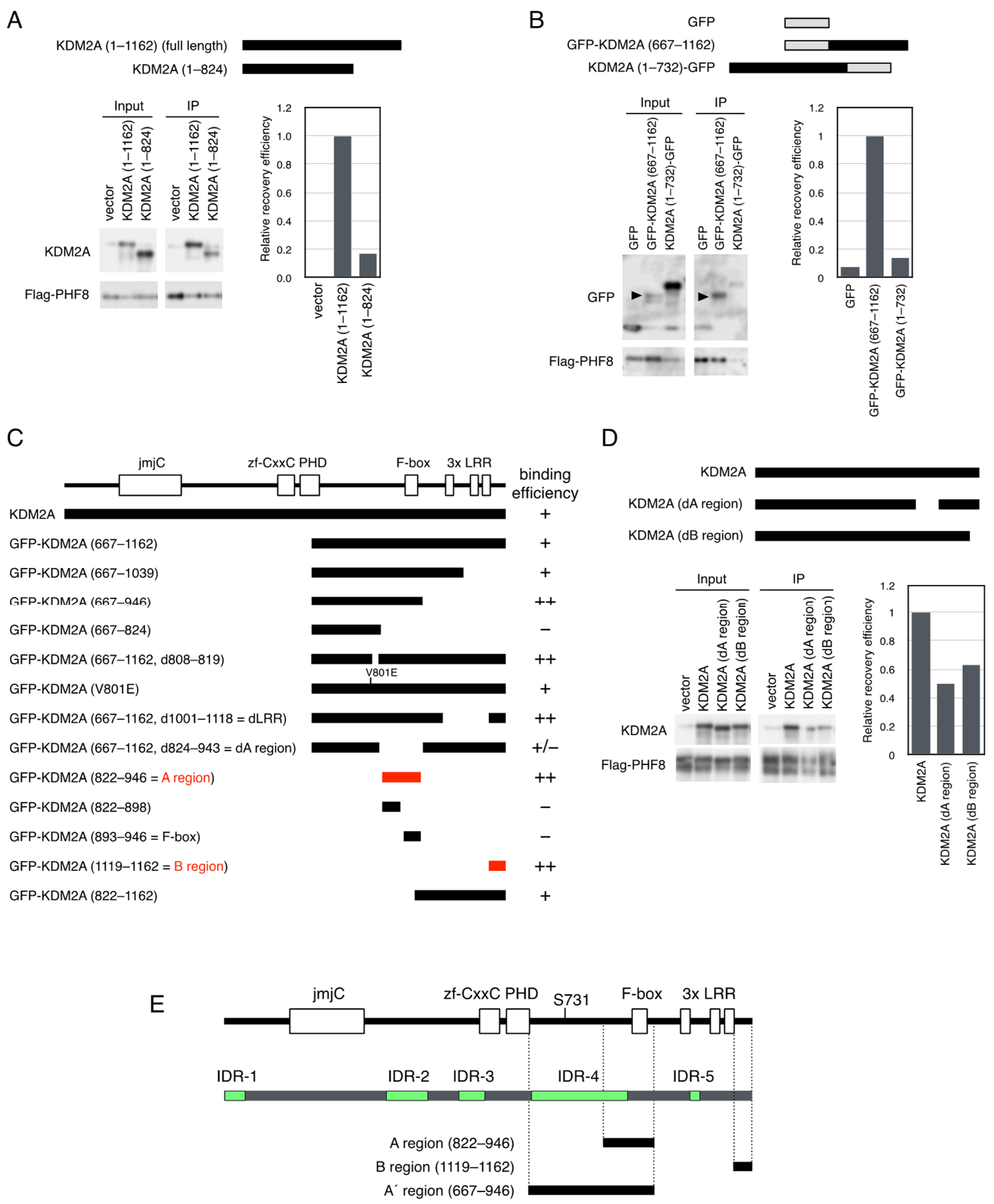 Biomolecules 15 00661 g002