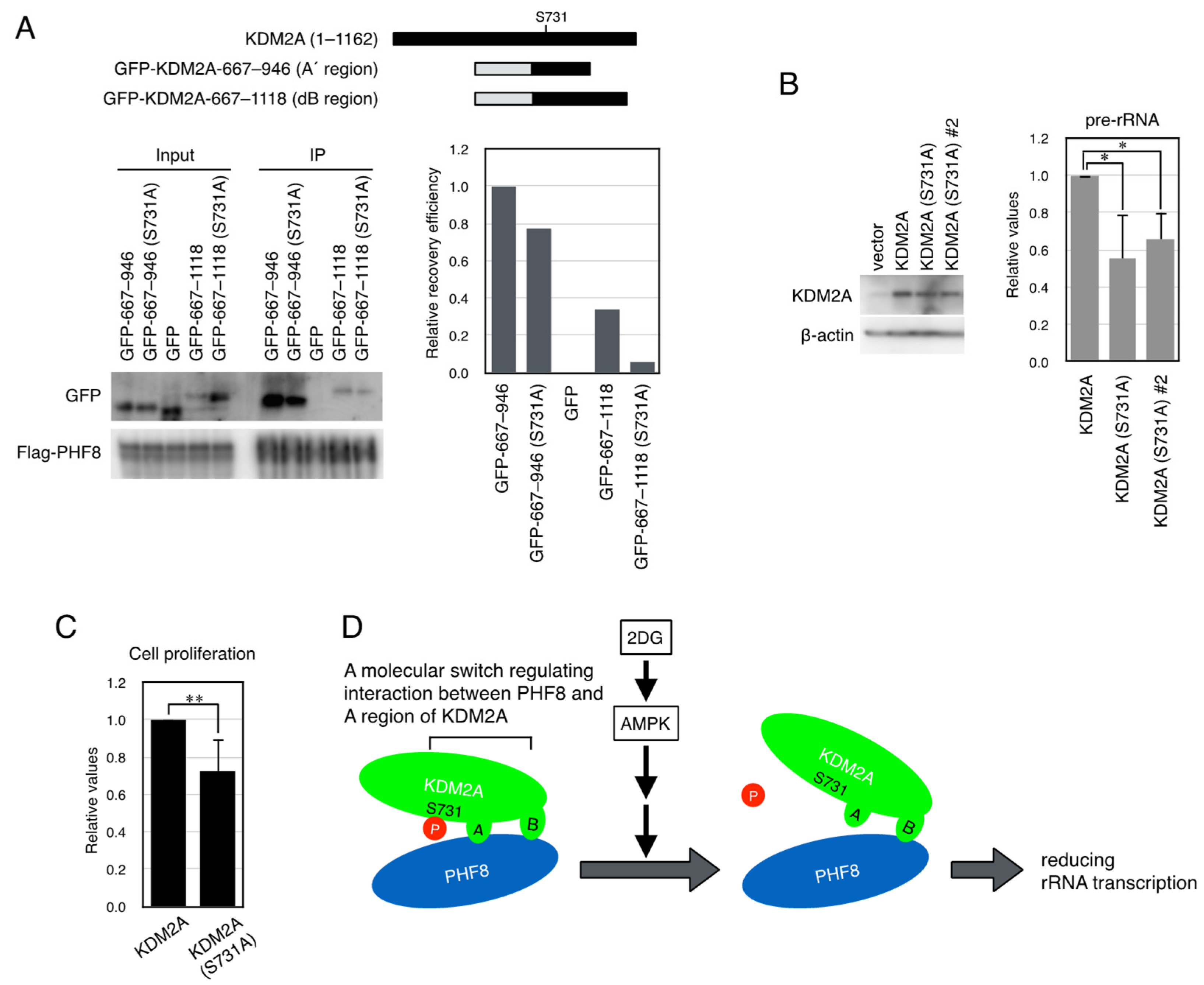 Biomolecules 15 00661 g005