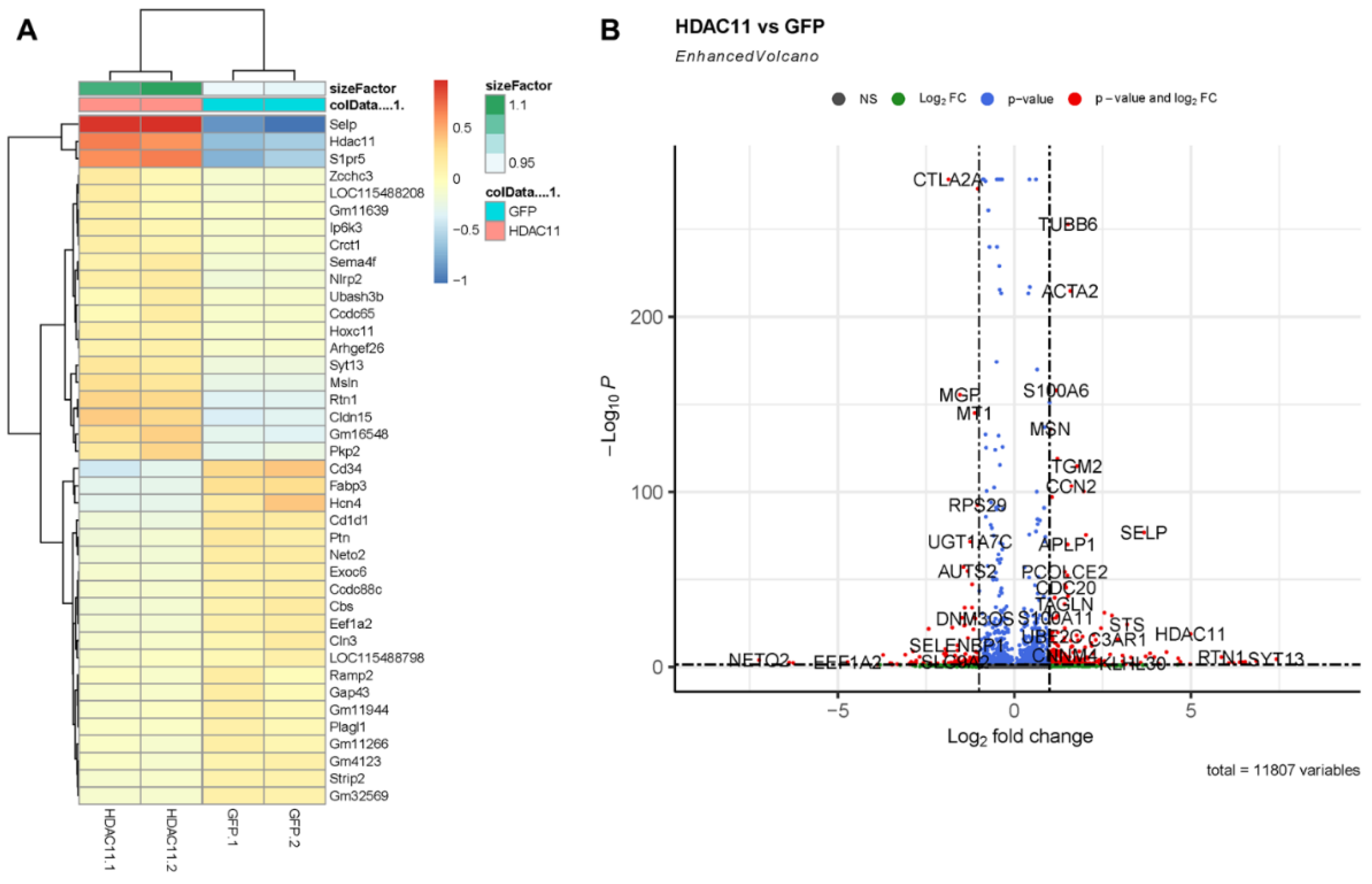 Biomolecules 15 00662 g002