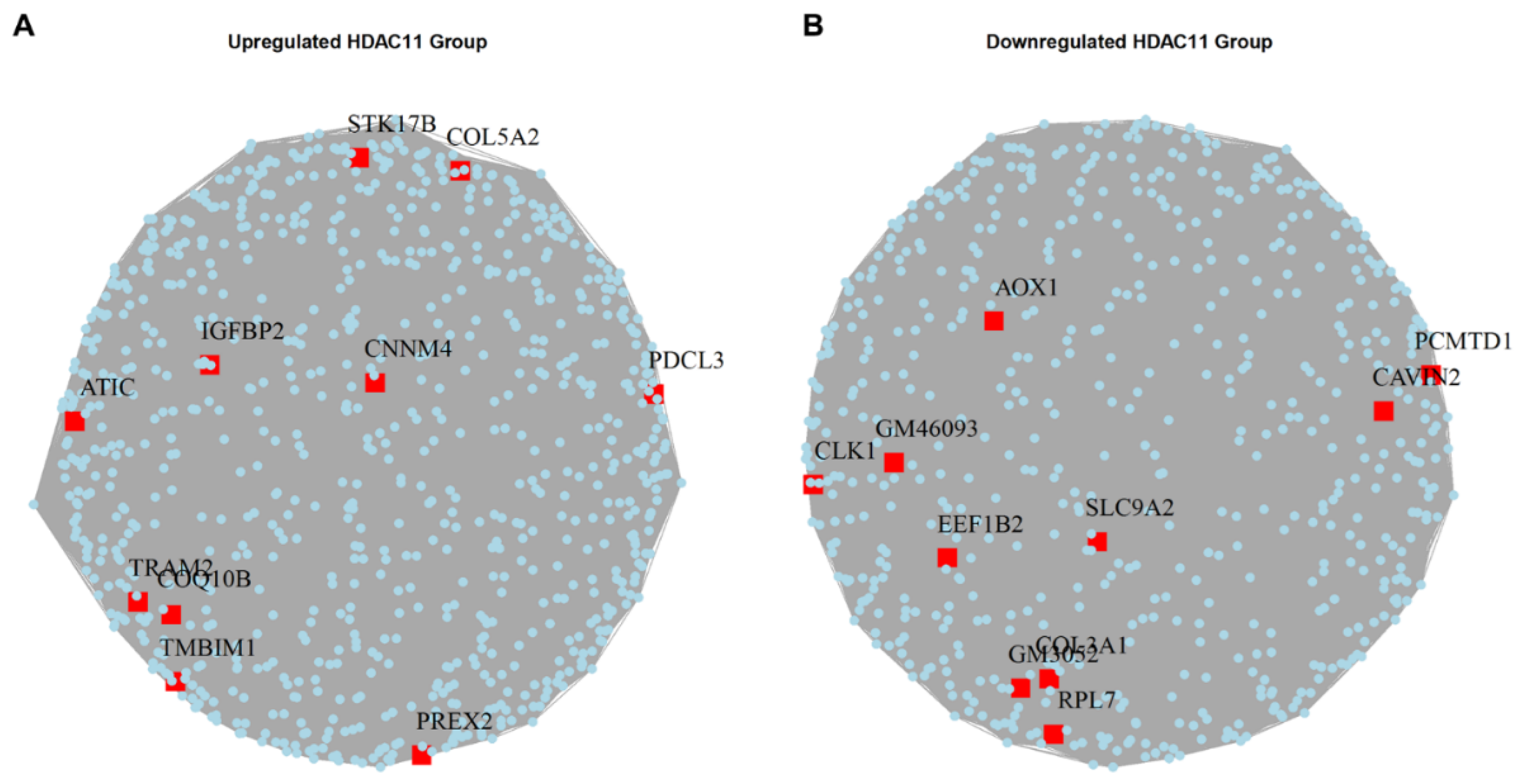 Biomolecules 15 00662 g005
