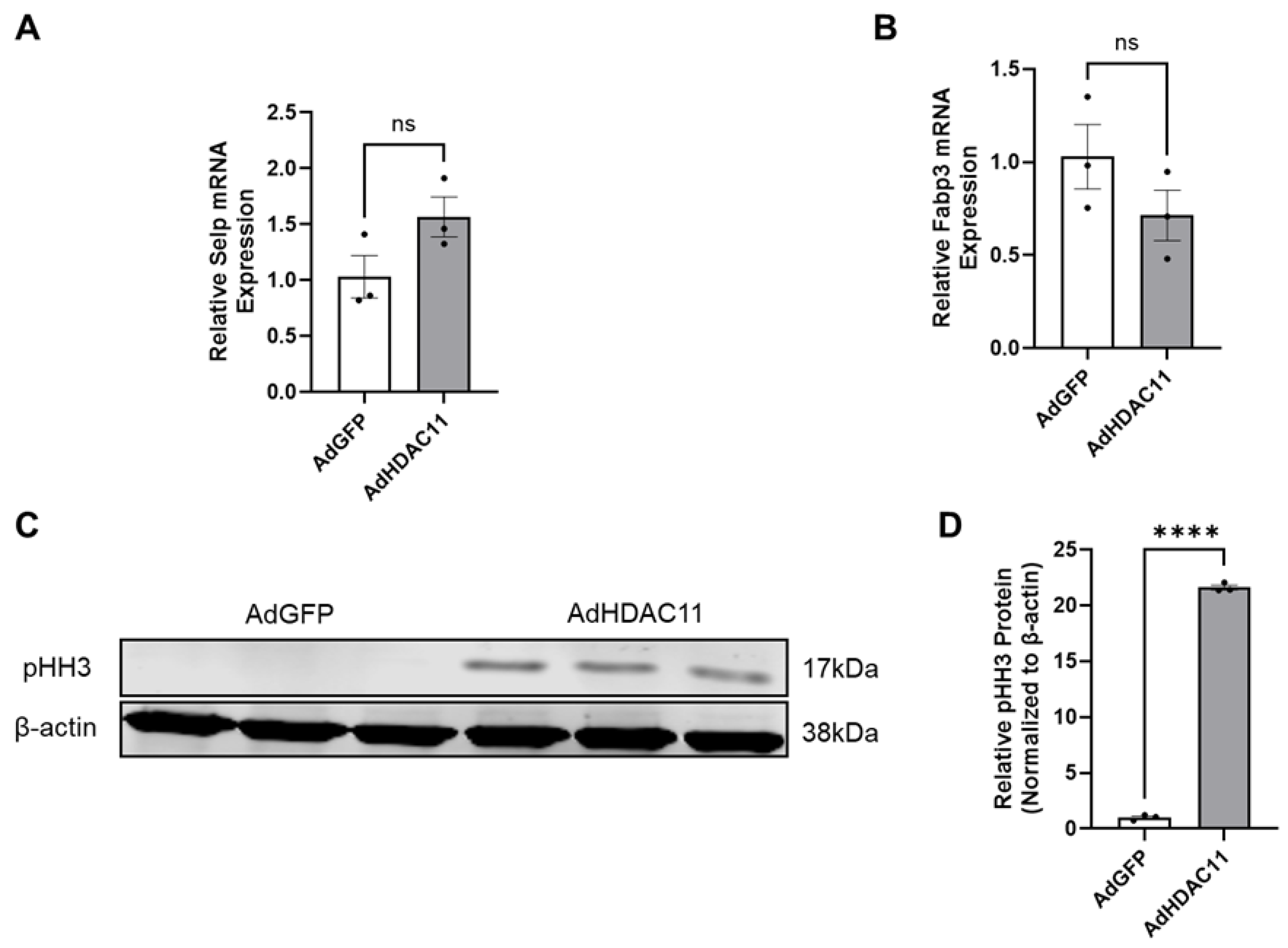 Biomolecules 15 00662 g006