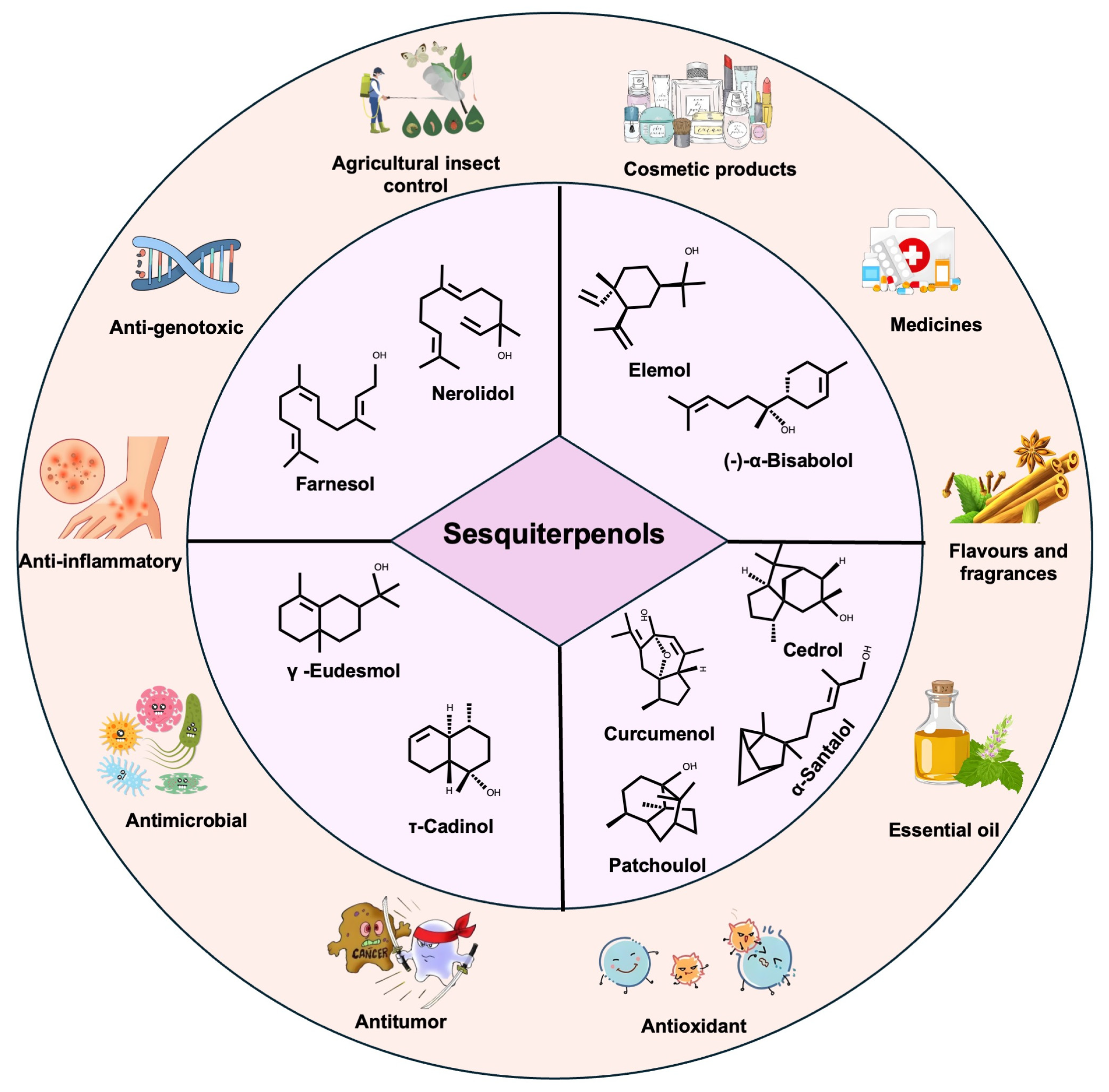 Biomolecules 15 00664 g001