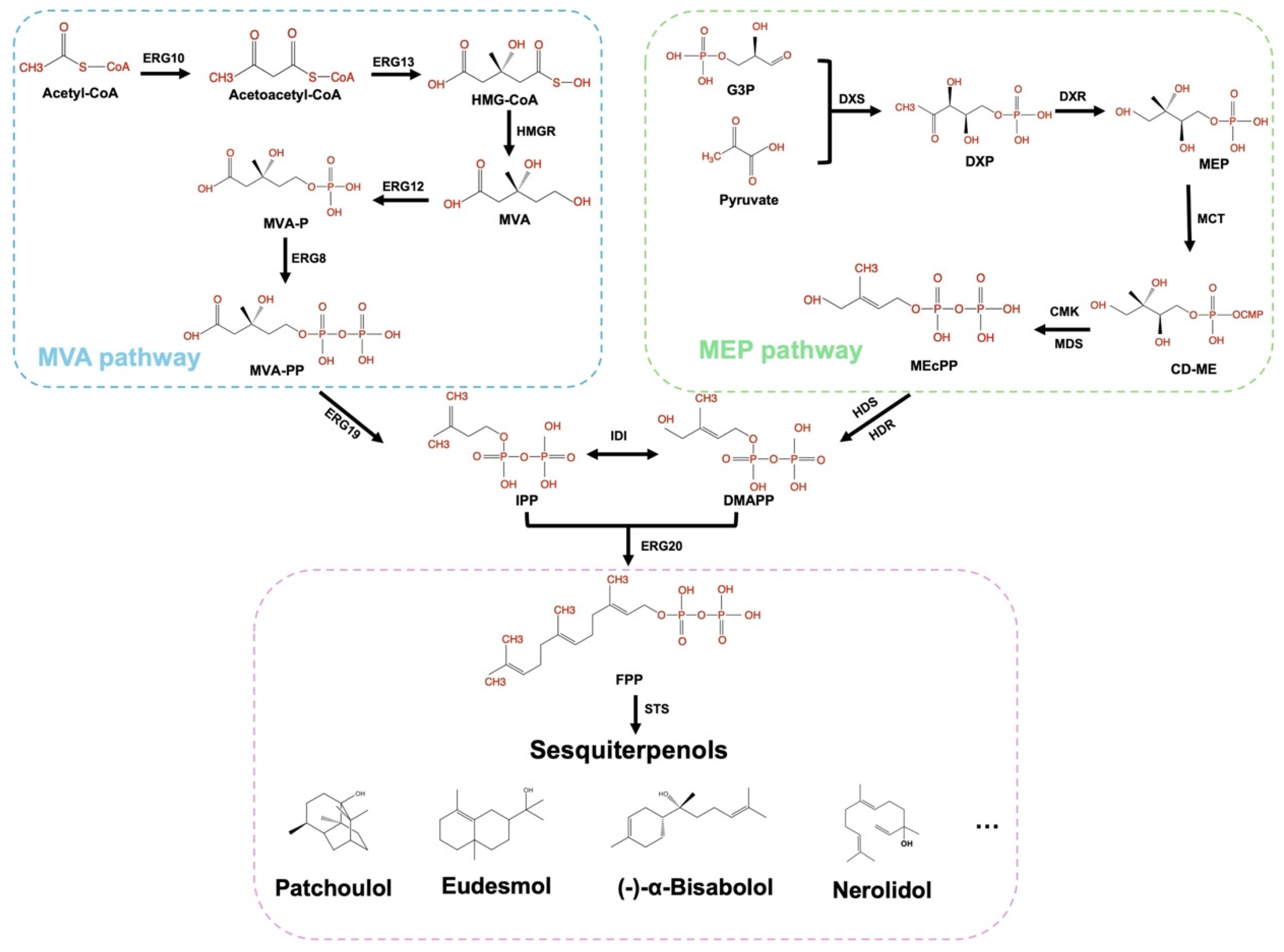 Biomolecules 15 00664 g002