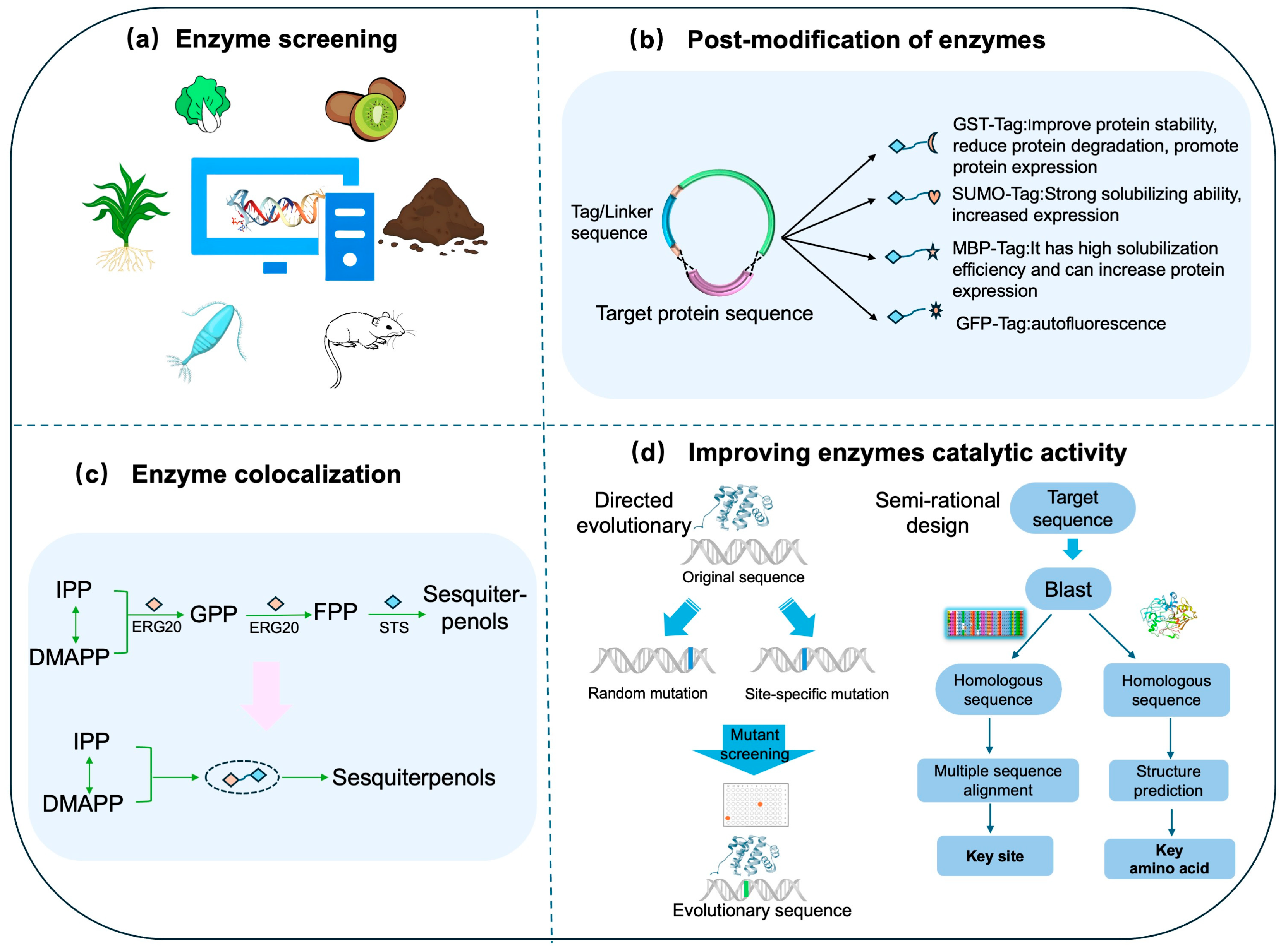 Biomolecules 15 00664 g004