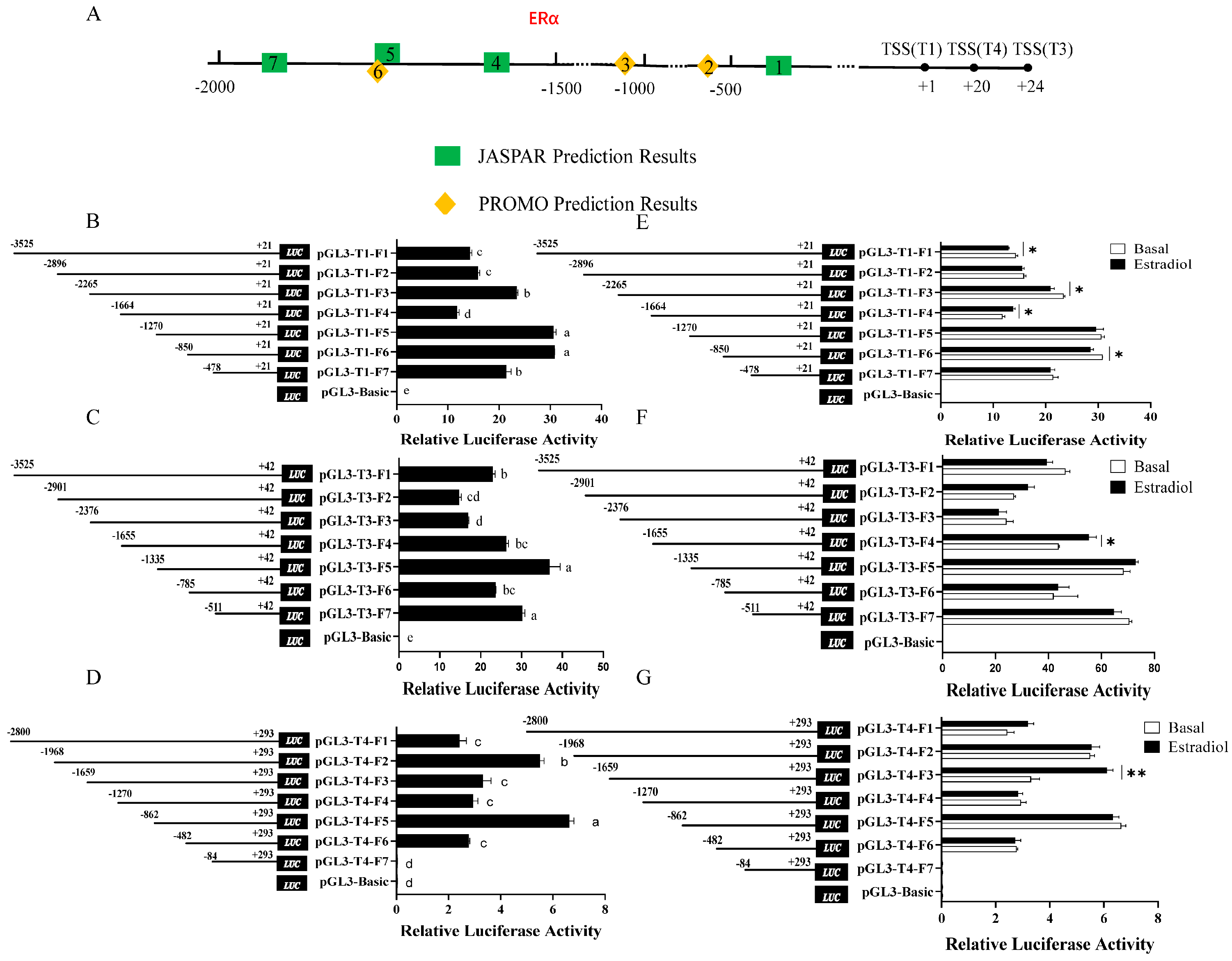 Biomolecules 15 00668 g001 Biomolecules 15 00668 g001