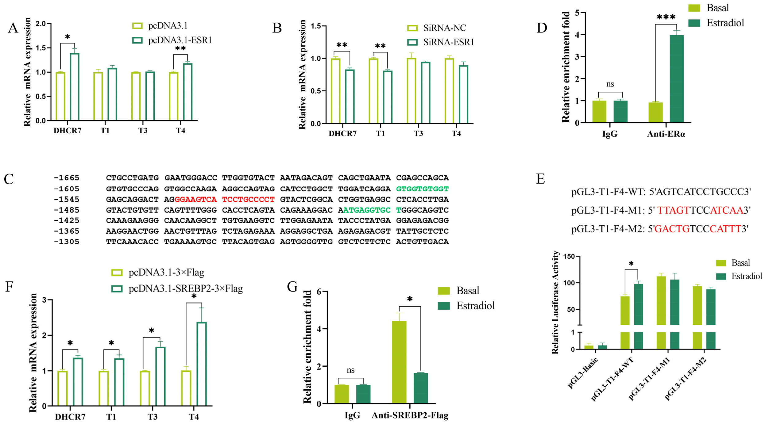 Biomolecules 15 00668 g002 Biomolecules 15 00668 g002