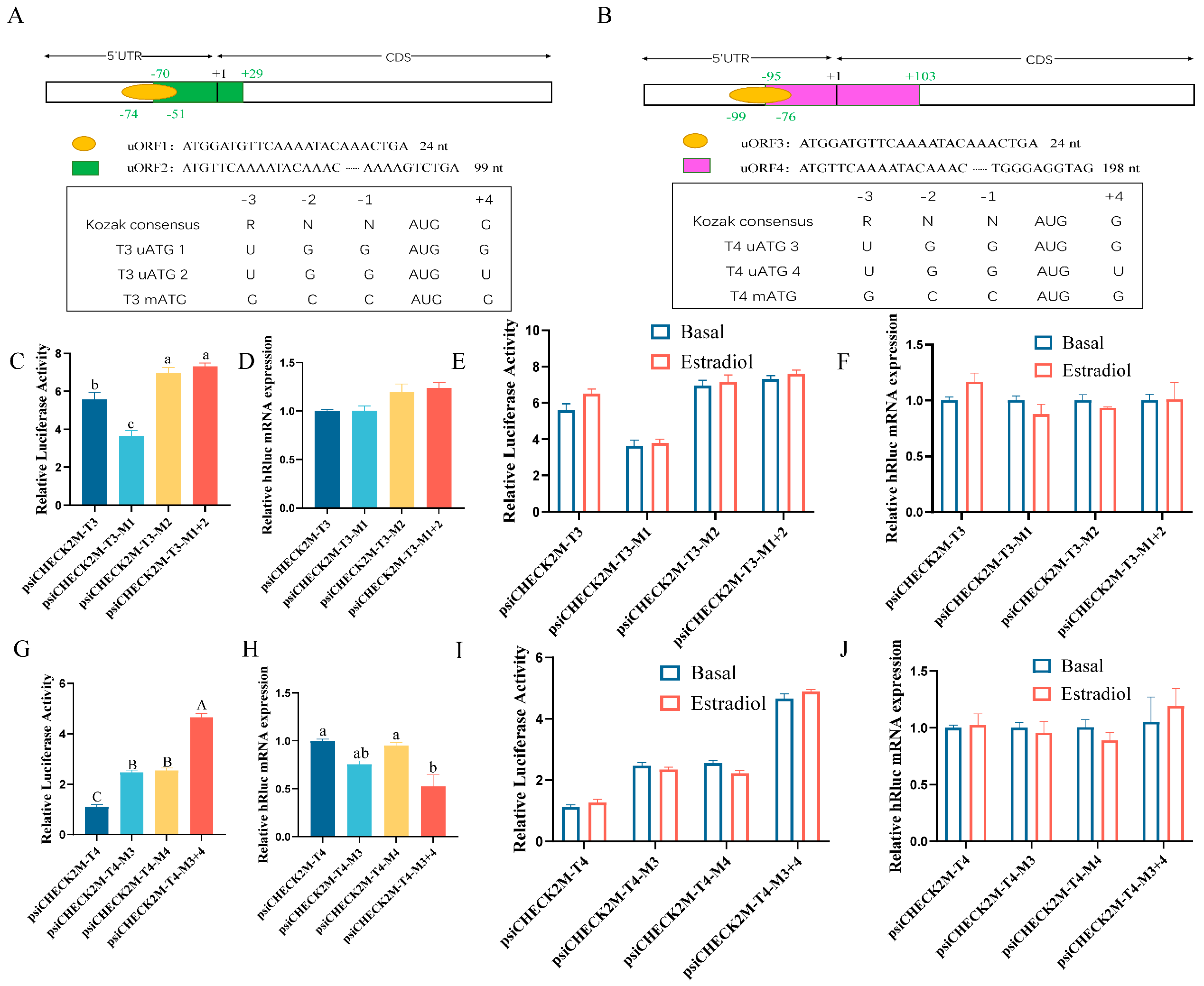 Biomolecules 15 00668 g005 Biomolecules 15 00668 g005