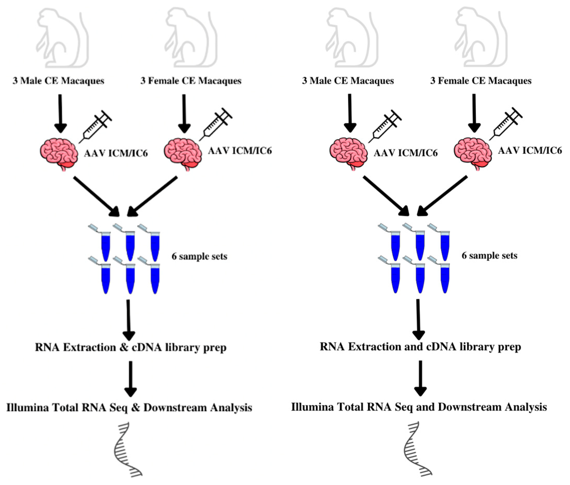 Biomolecules 15 00671 g001