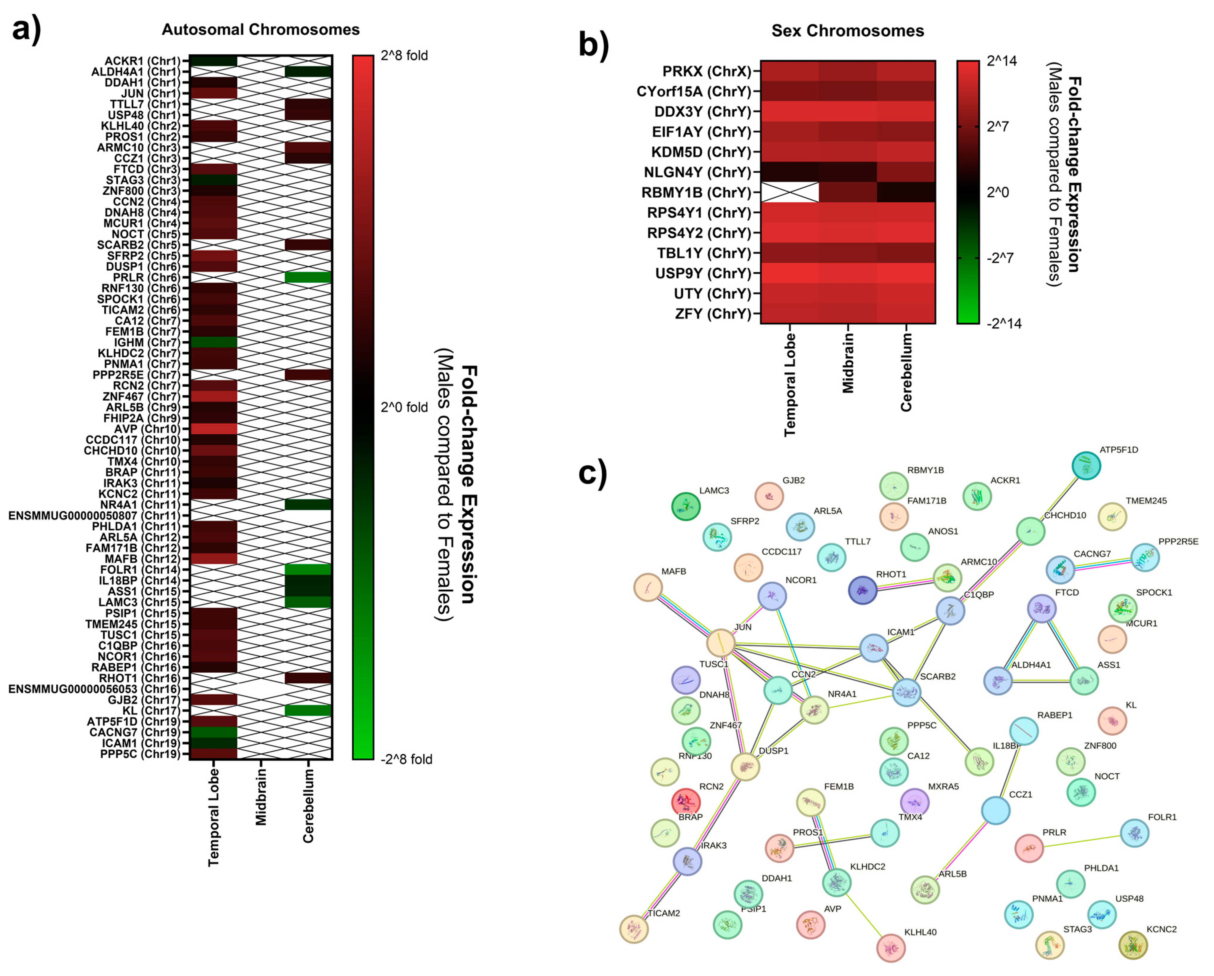 Biomolecules 15 00671 g002