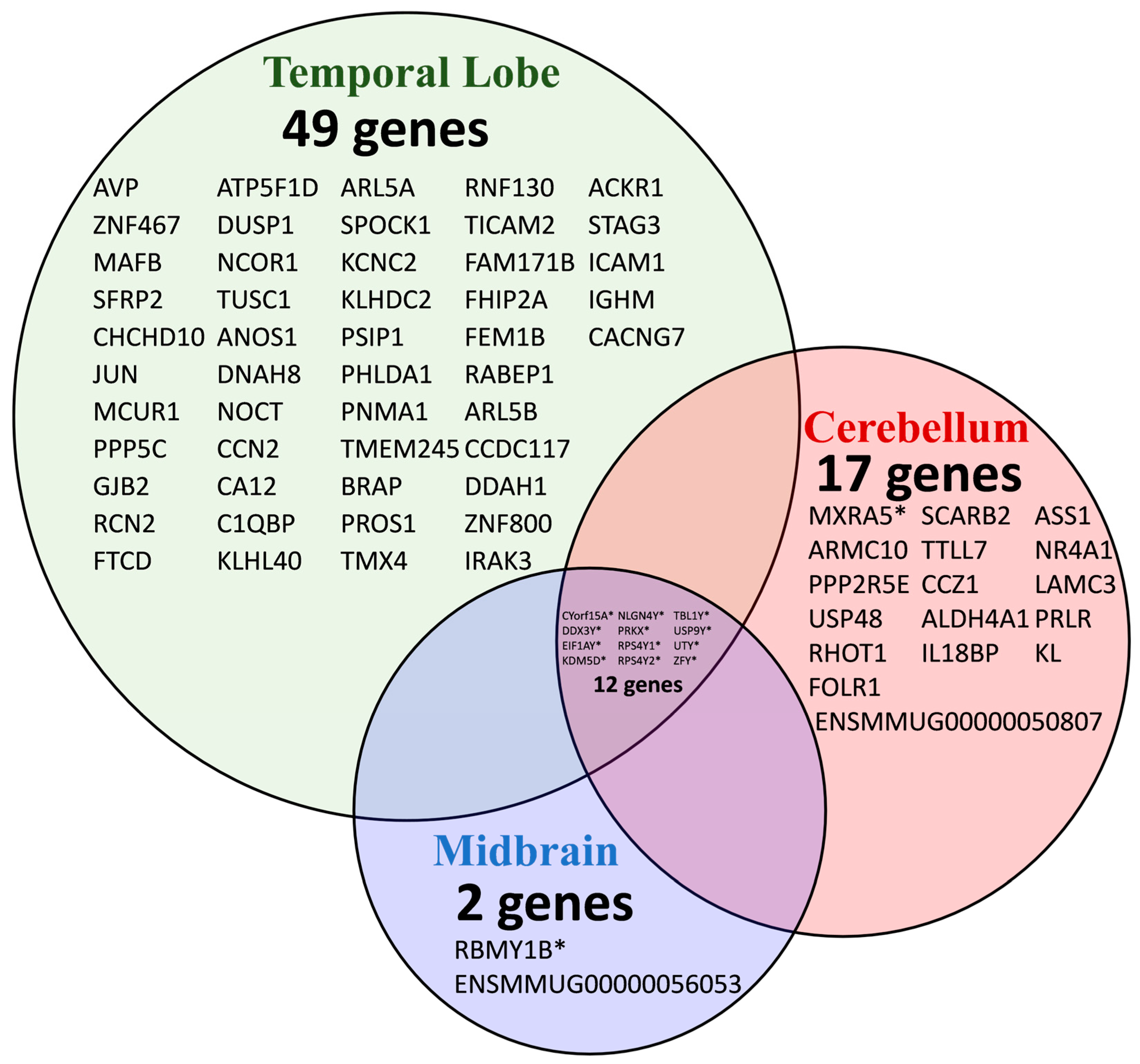 Biomolecules 15 00671 g003