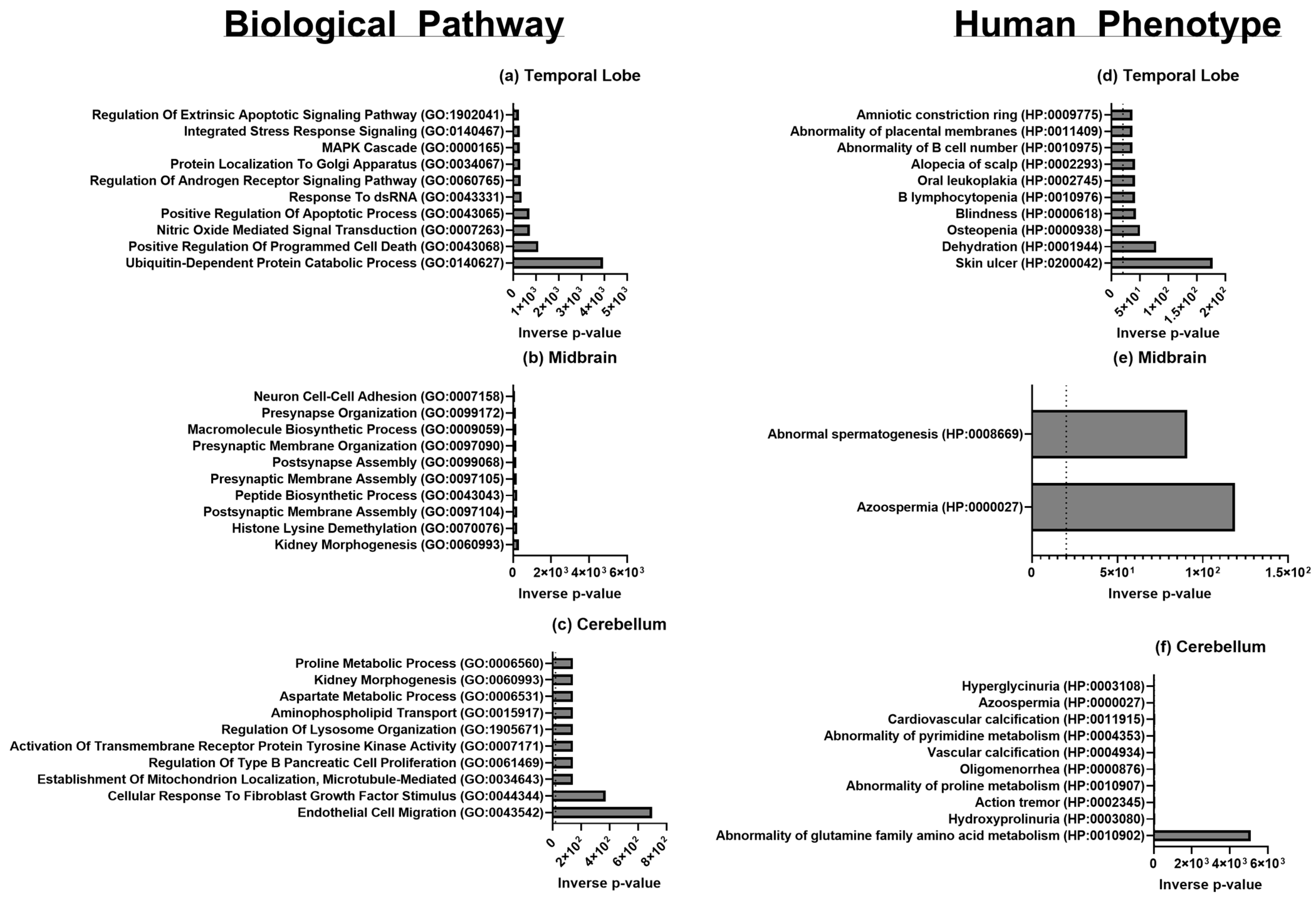 Biomolecules 15 00671 g004