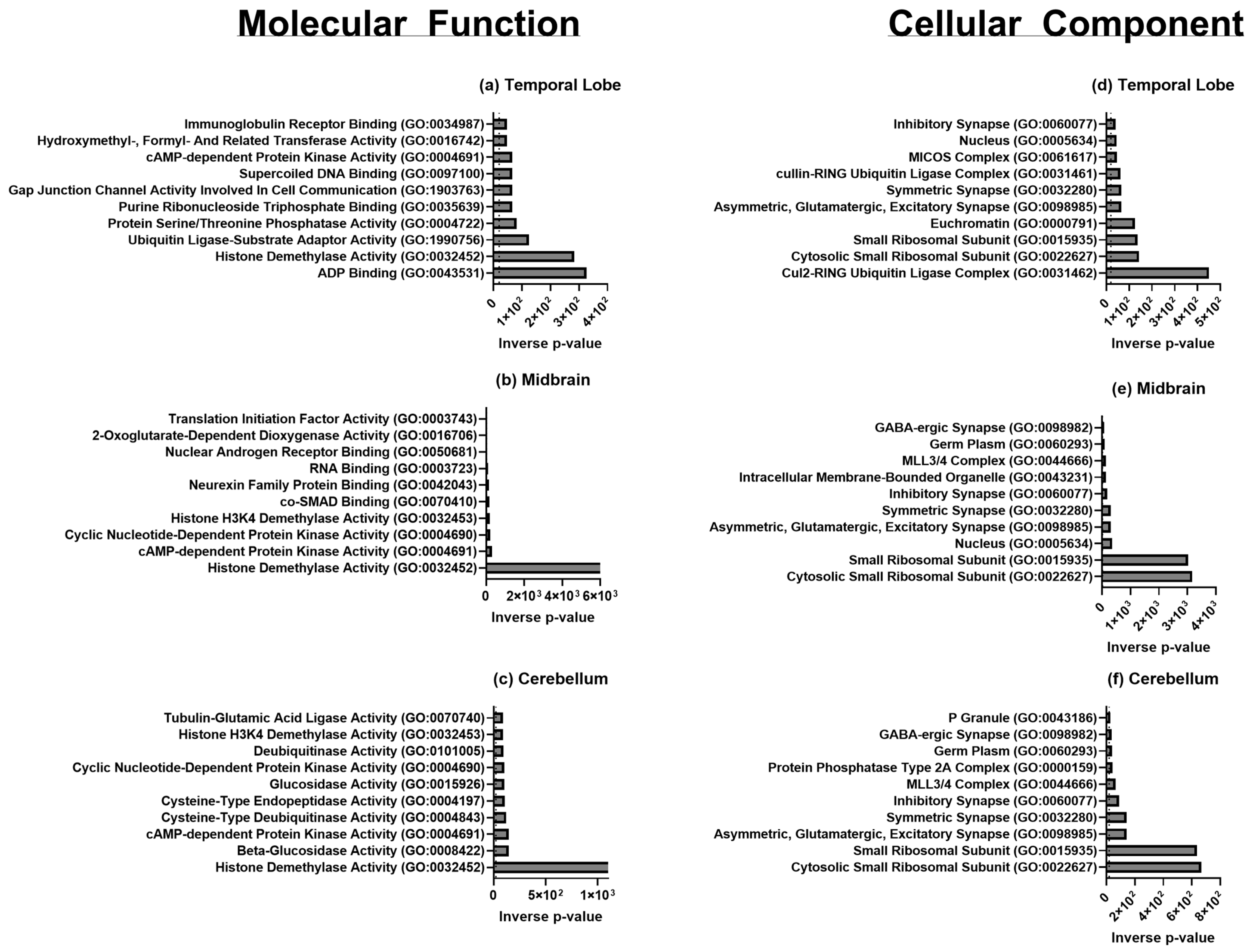 Biomolecules 15 00671 g005