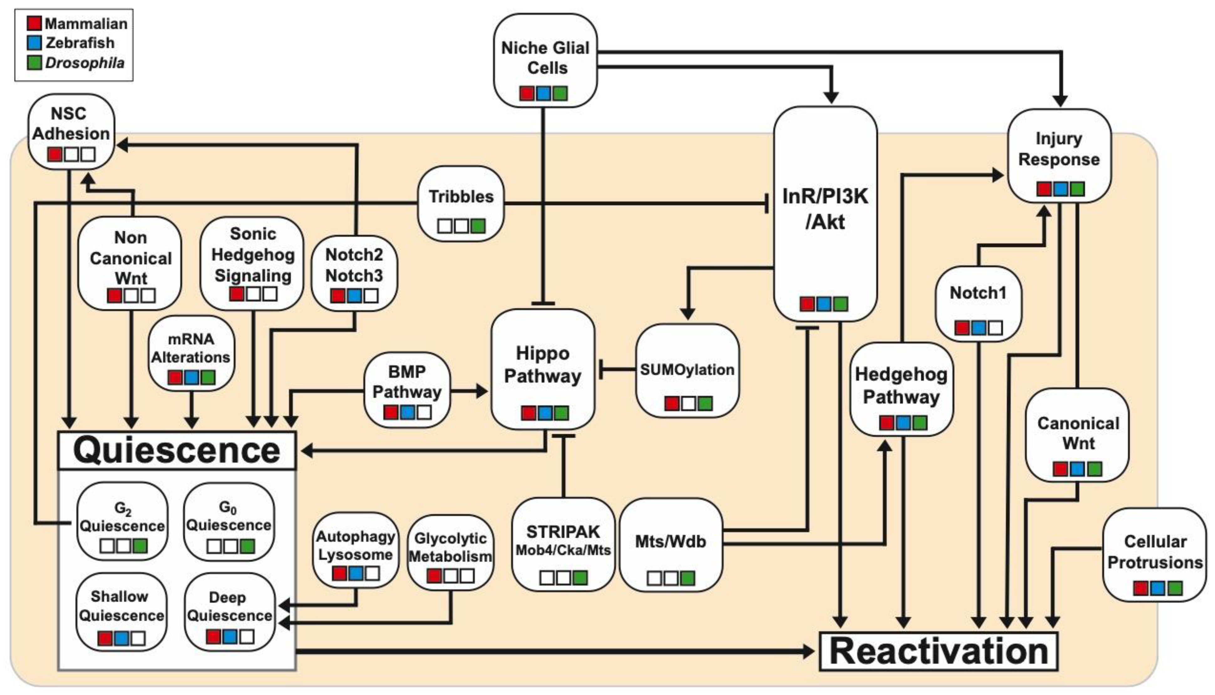 Biomolecules 15 00672 g002