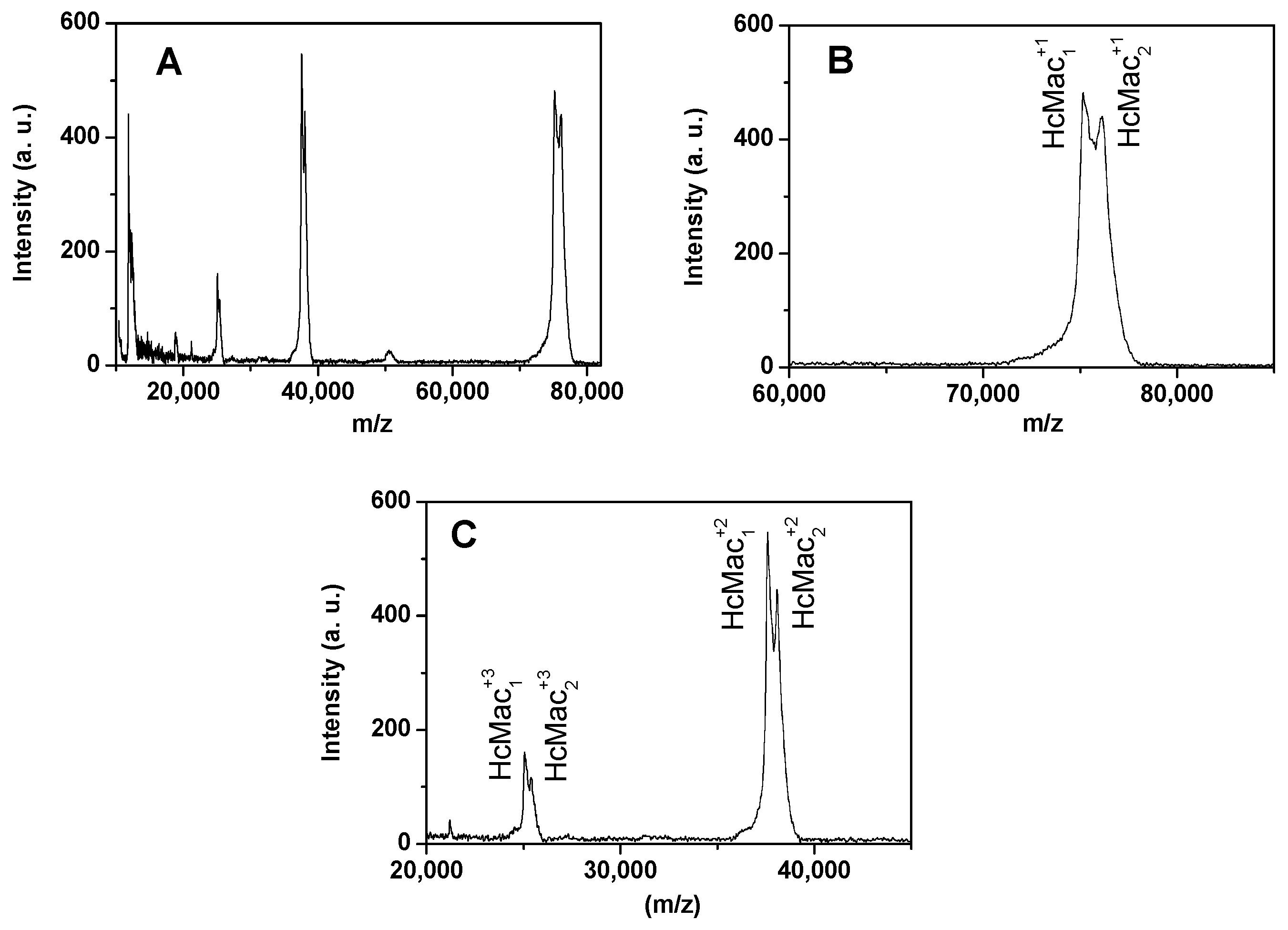 Biomolecules 15 00675 g005