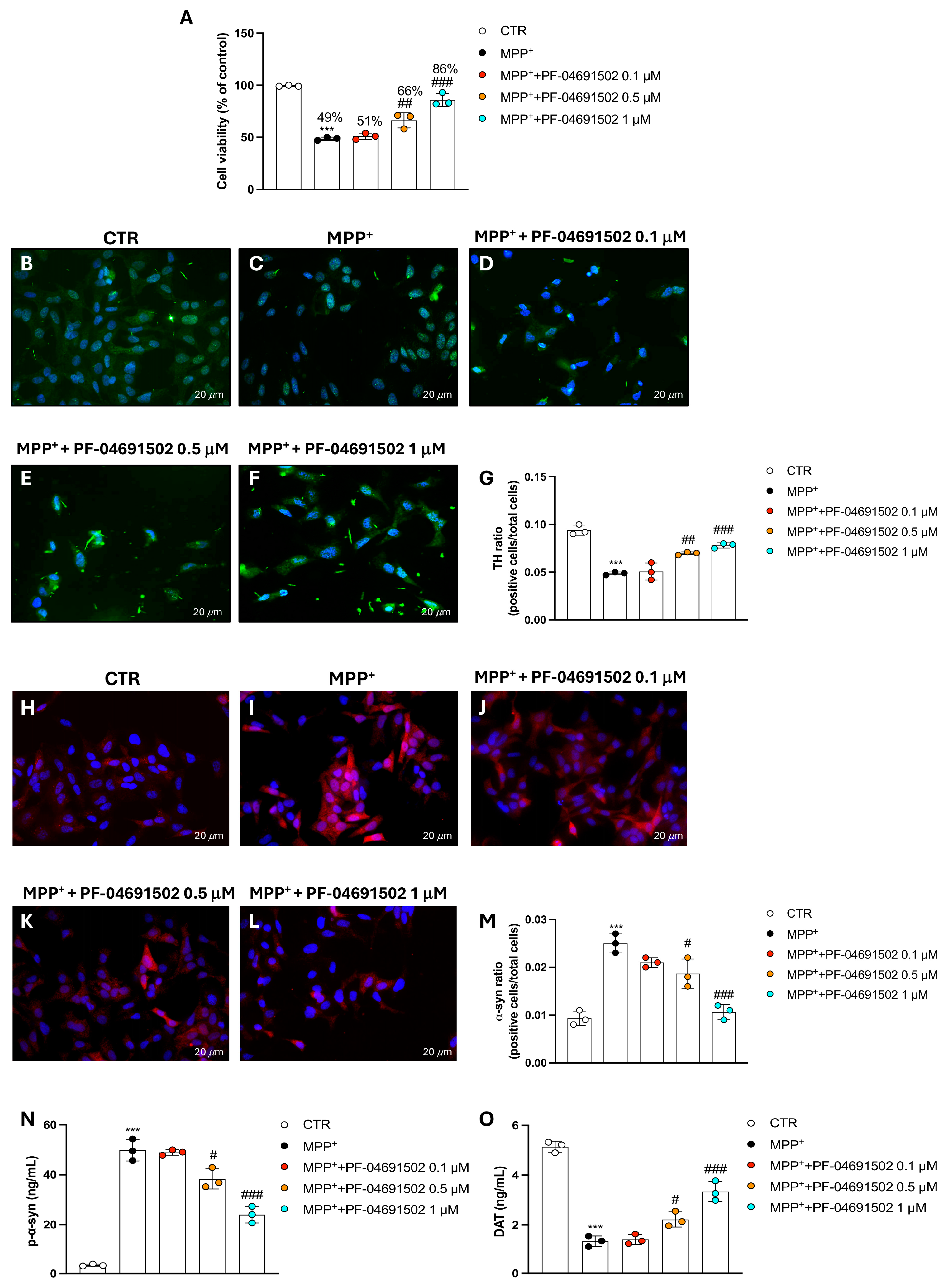 Biomolecules 15 00677 g005