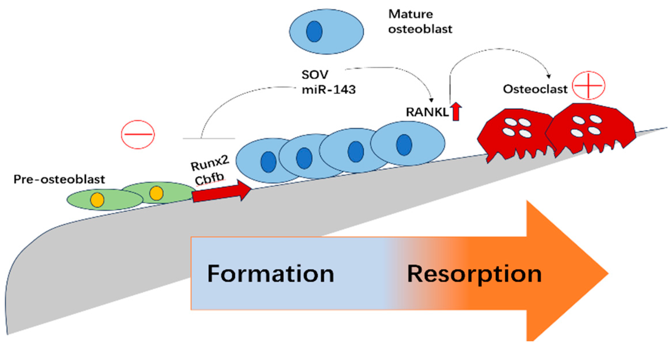 Biomolecules 15 00679 g001