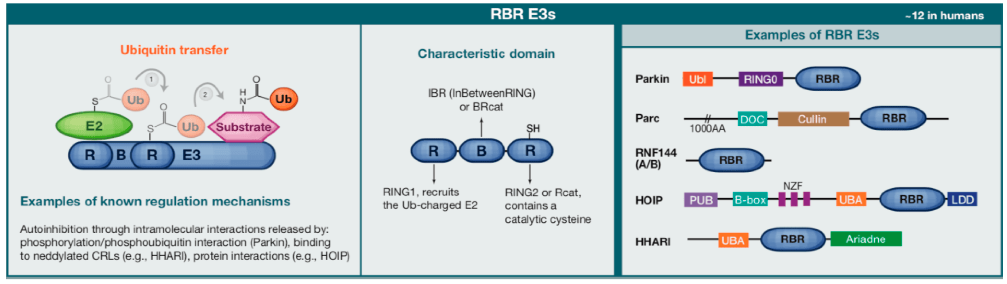 Biomolecules 15 00679 g002